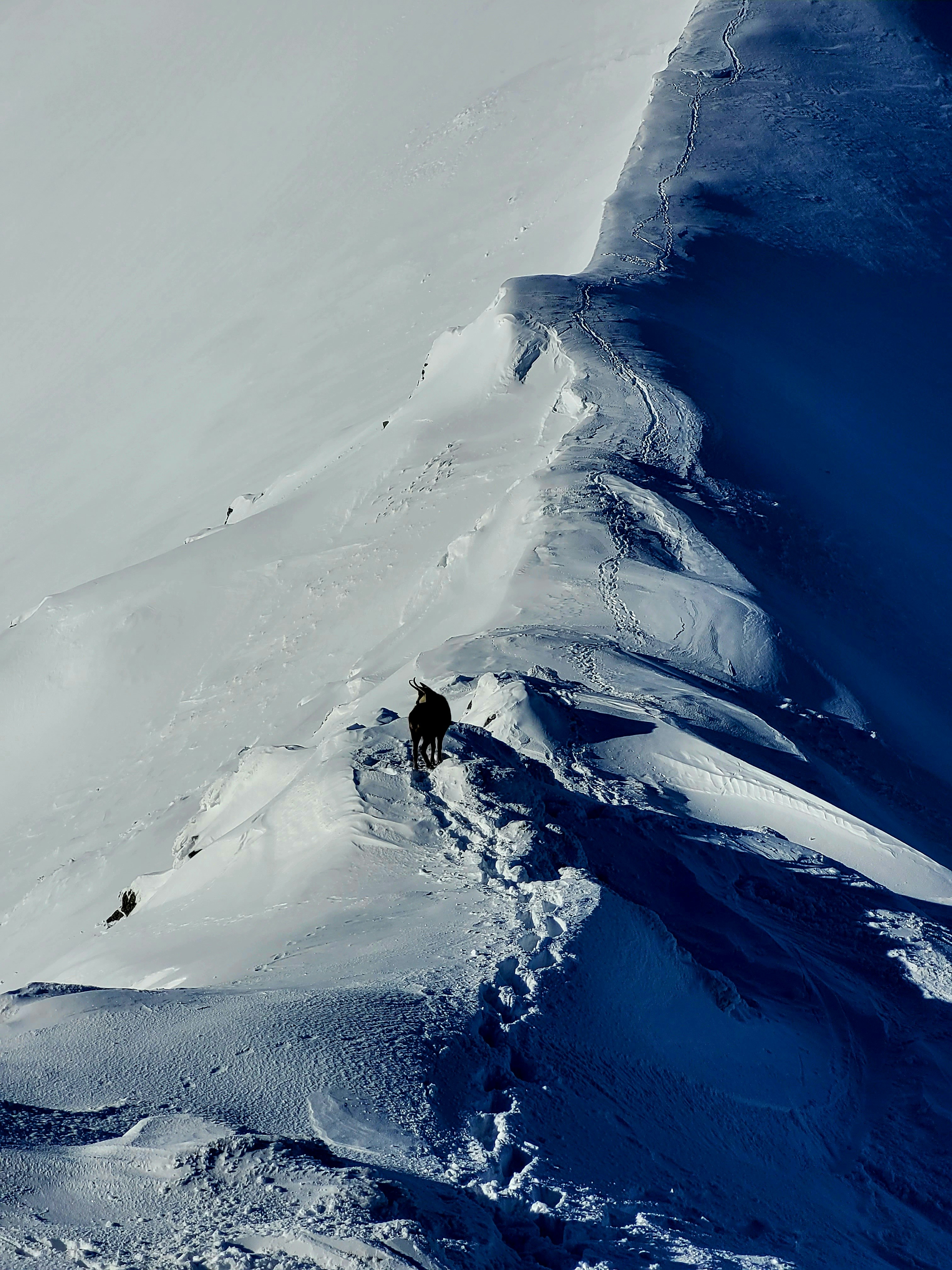 Photo by patryk_wojcieszak