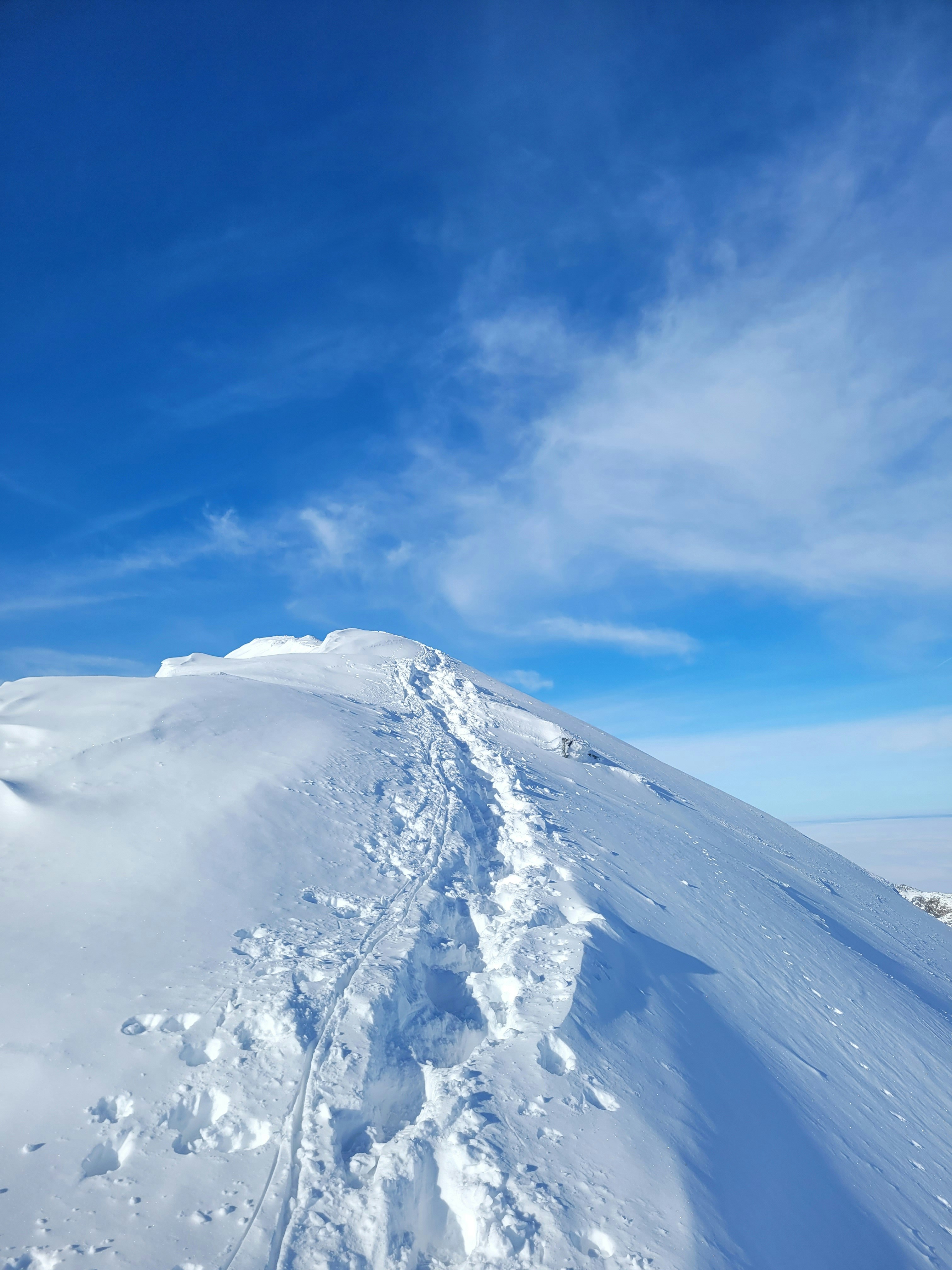 Photo by patryk_wojcieszak