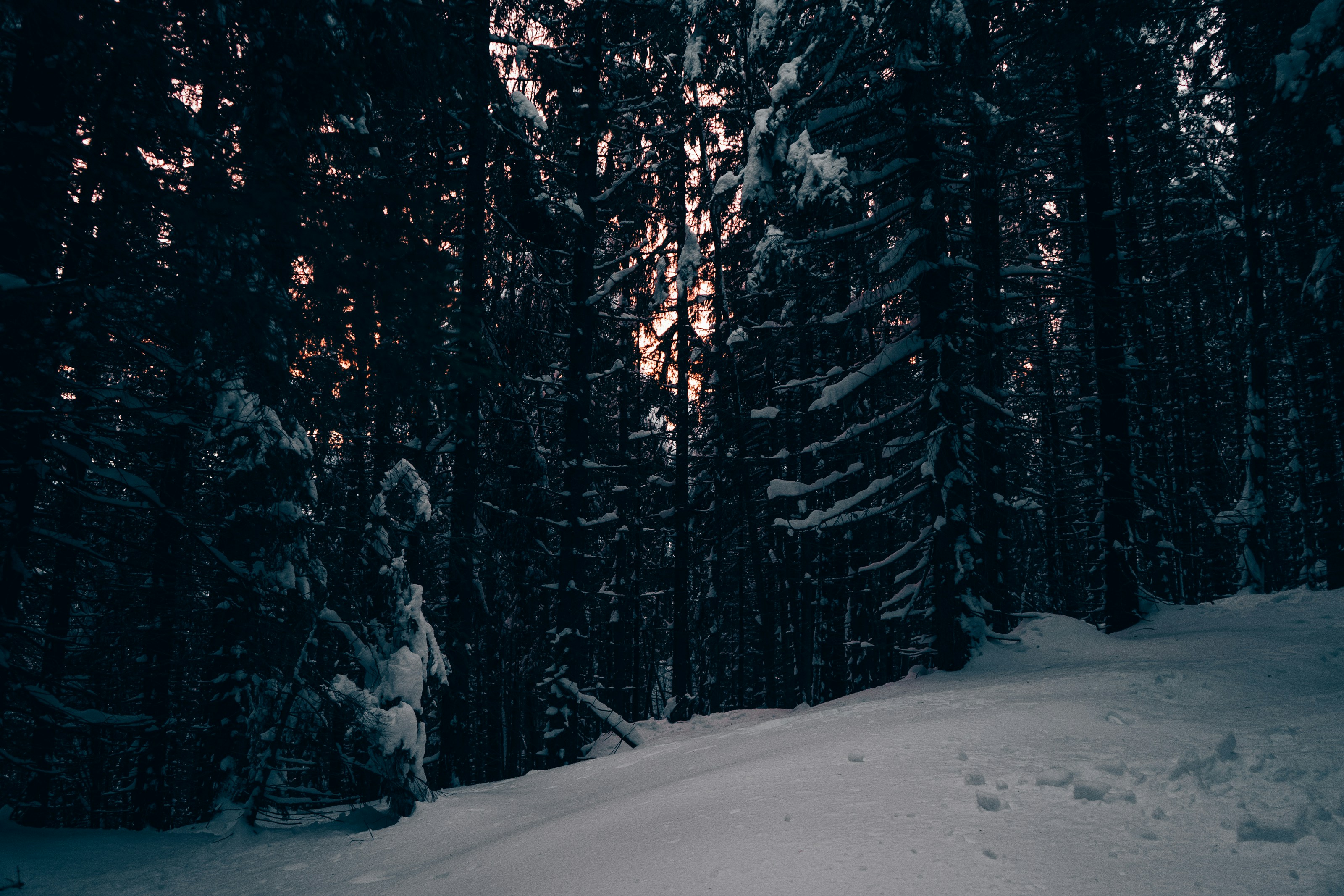 Photo by patryk_wojcieszak