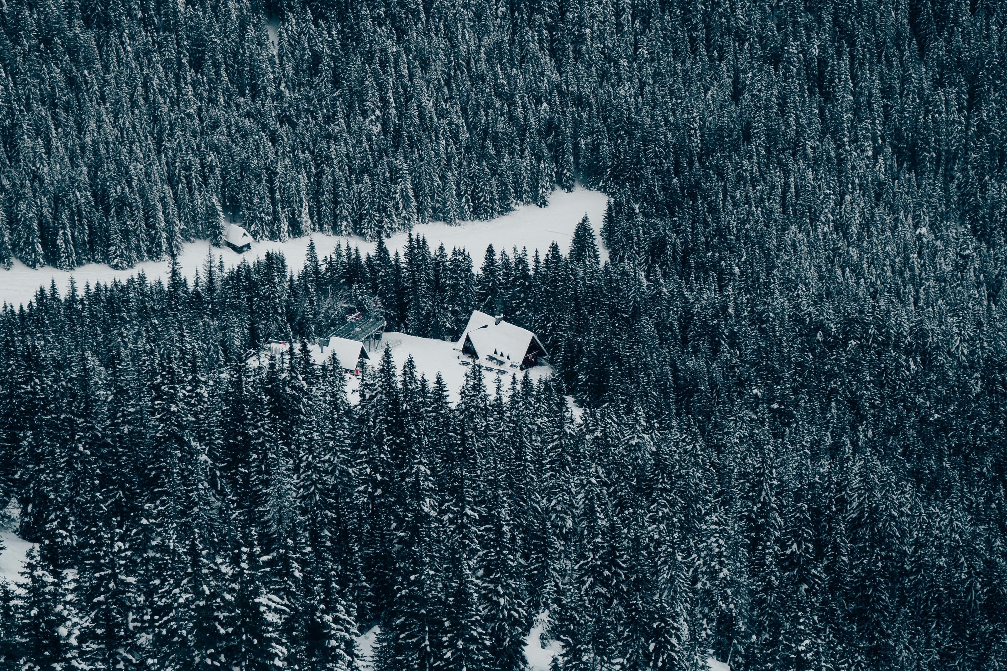 Photo by patryk_wojcieszak