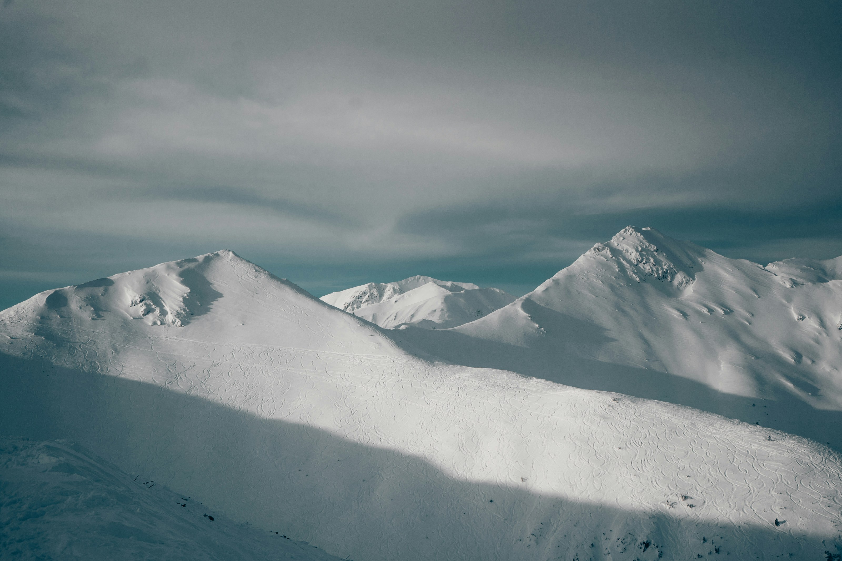 Photo by patryk_wojcieszak