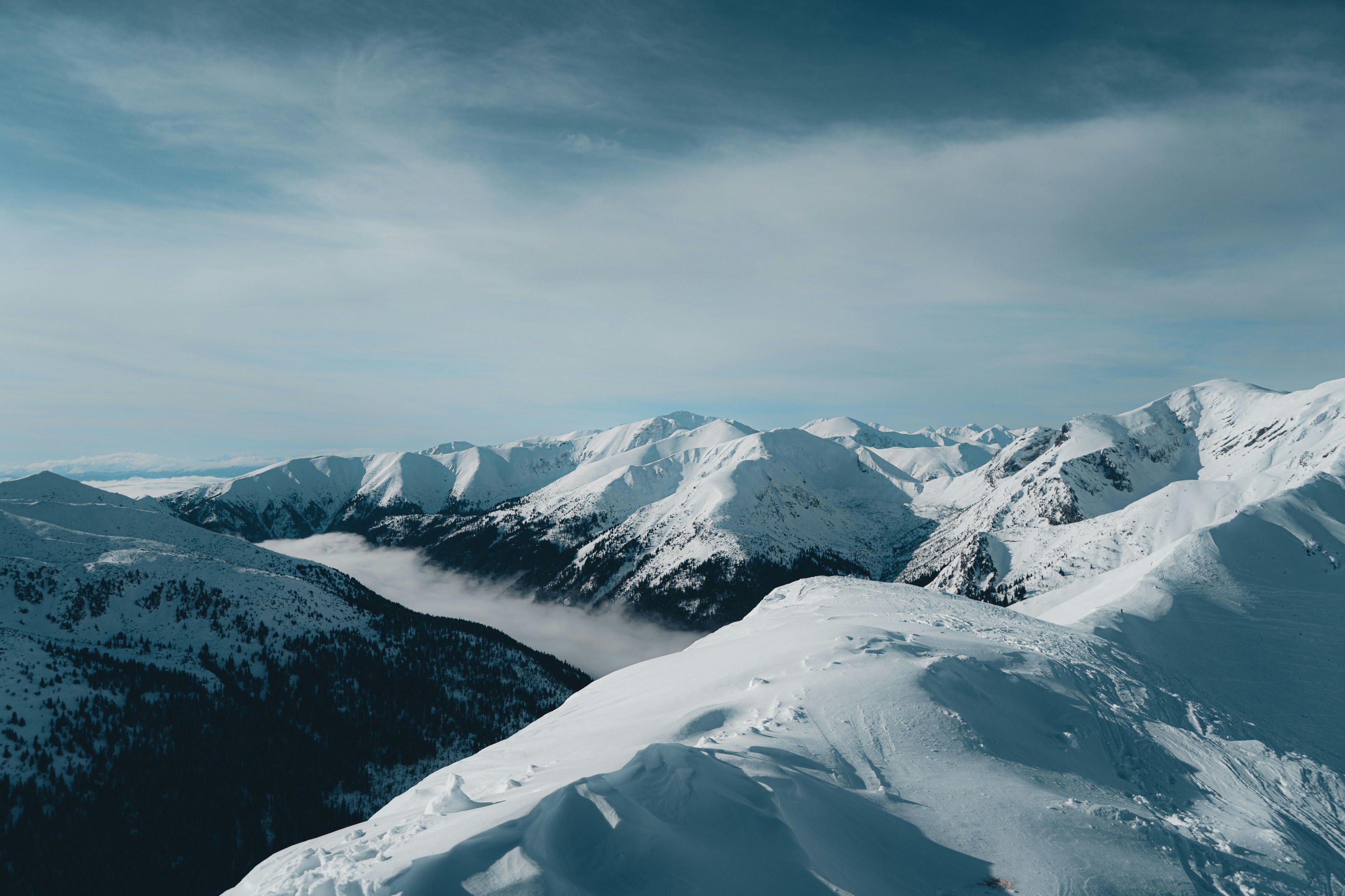 Photo by patryk_wojcieszak