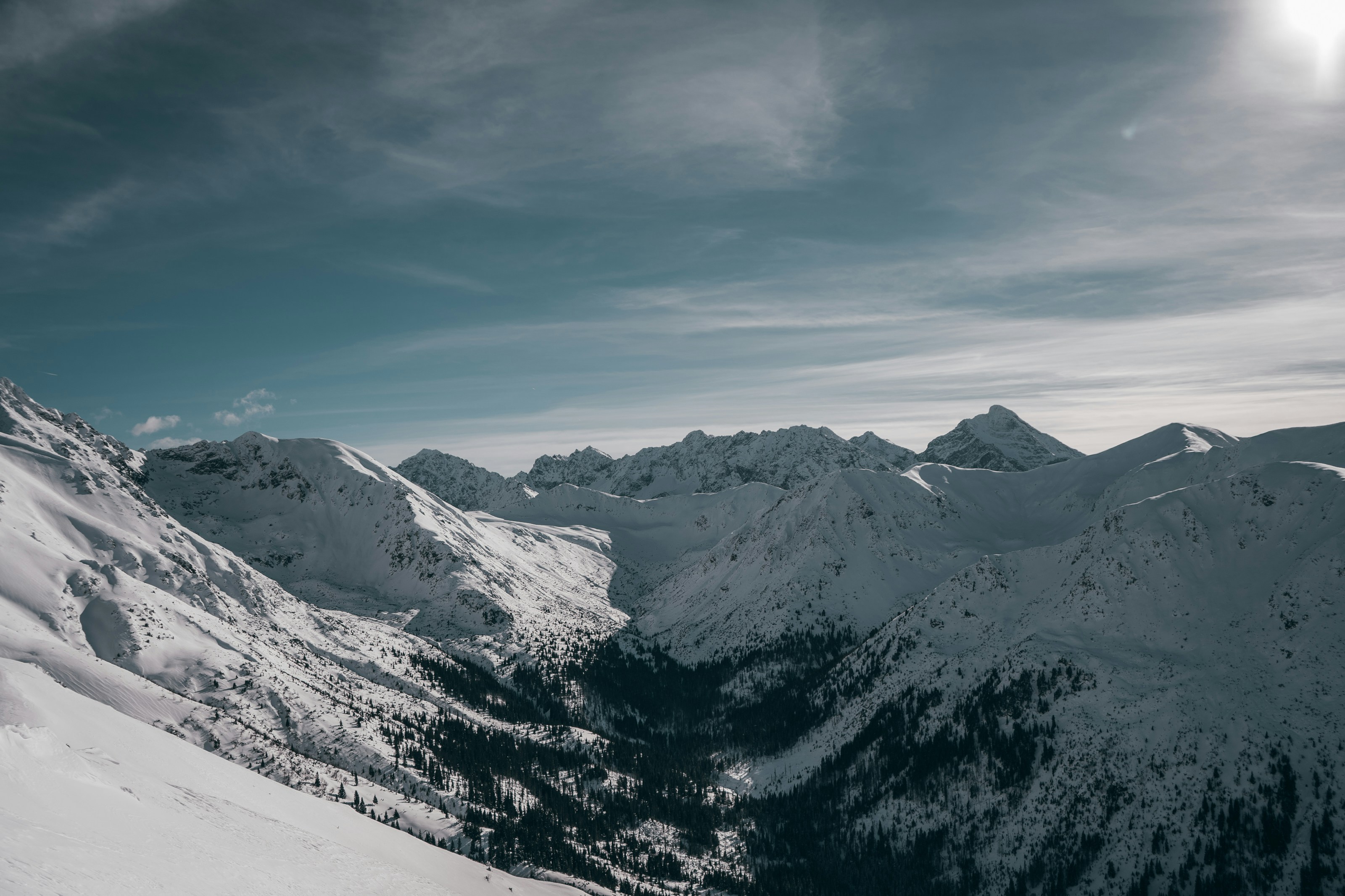 Photo by patryk_wojcieszak