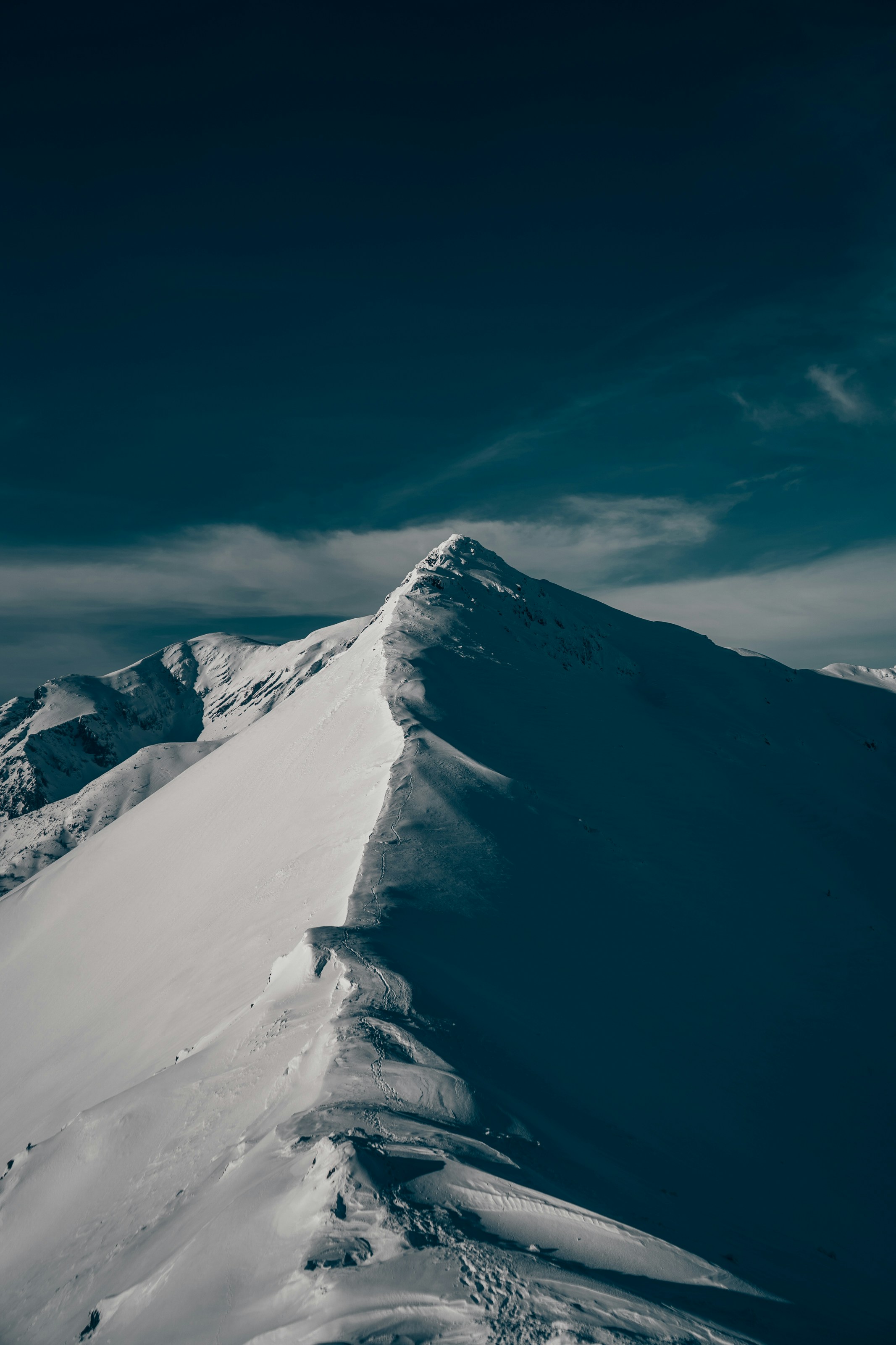 Photo by patryk_wojcieszak