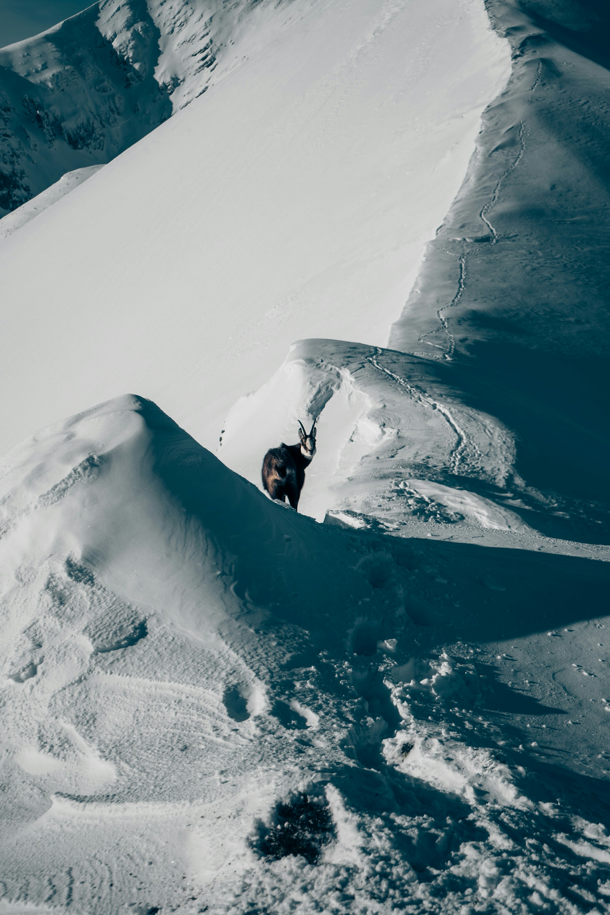 Photo by patryk_wojcieszak