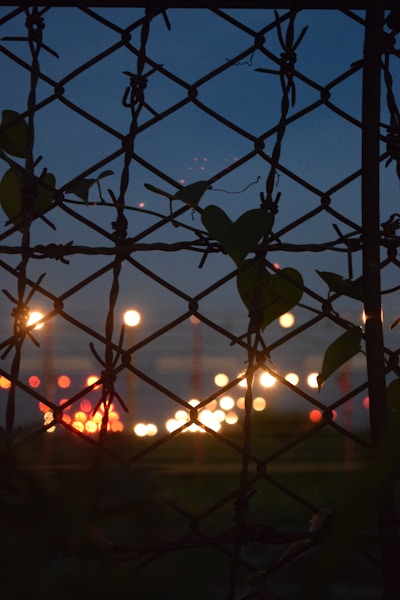 Photo 1675332504819 D1cf0139dc4a?q=85&w=600&h=600&fit=crop