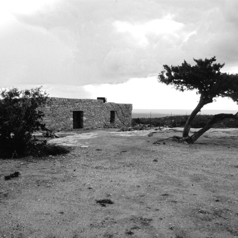 a black and white photo of a building and a tree