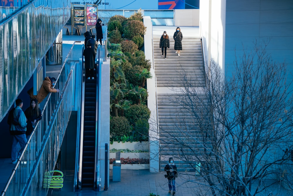 Un grupo de personas bajando un tramo de escaleras