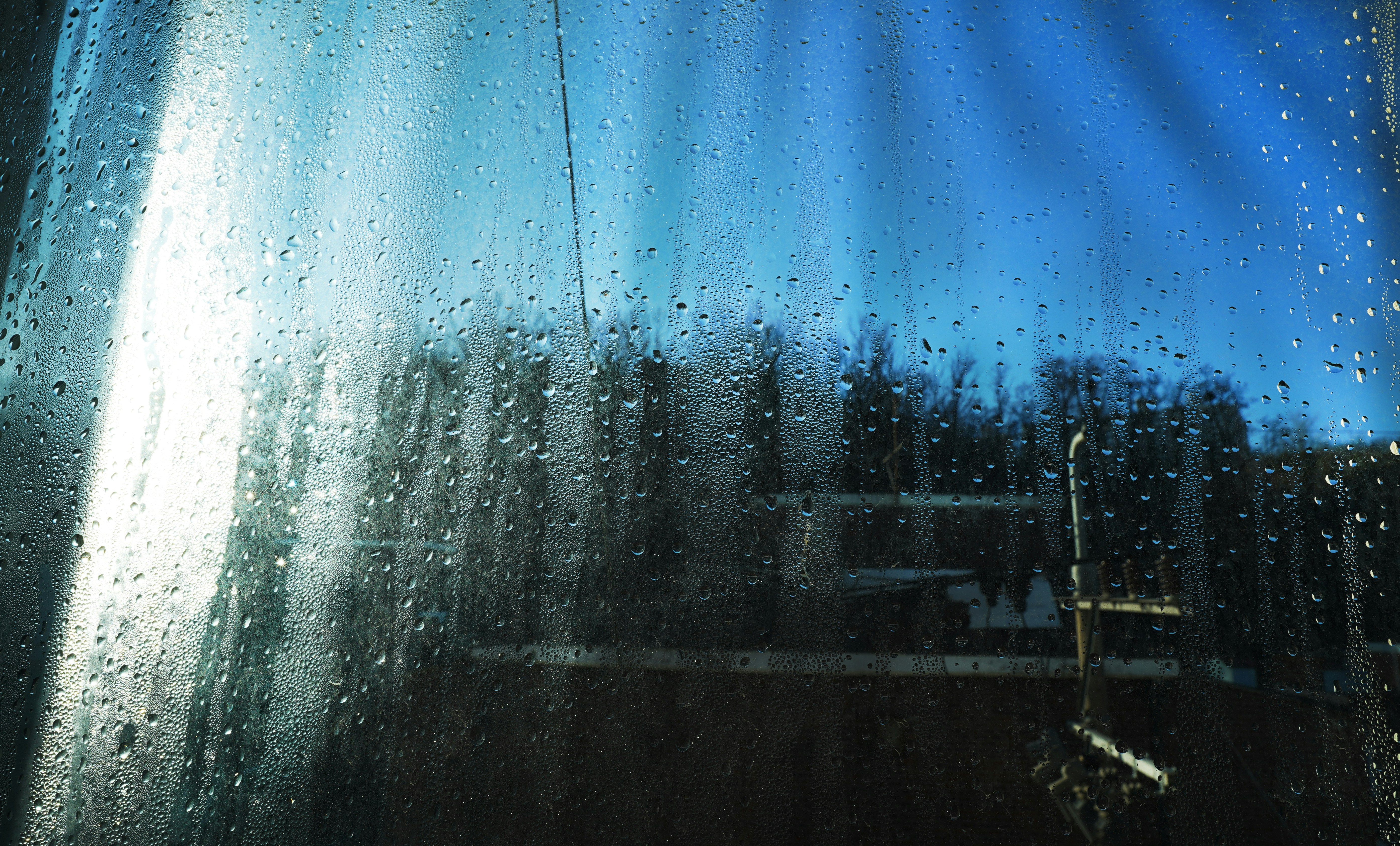 photo-1675332881601-a776221f3823?ixid=M3wxMjA3fDB8MXxzZWFyY2h8Nnx8JUVDJTg0JTlDJUVDJTlBJUI4JTIwJUVBJUIwJTkwJUVDJTg0JUIxJTIwJUVCJUE3JTg4JUVDJTgyJUFDJUVDJUE3JTgwfGVufDB8fHx8MTc0MDY1OTY2M3ww\u0026ixlib=rb-4.0.3