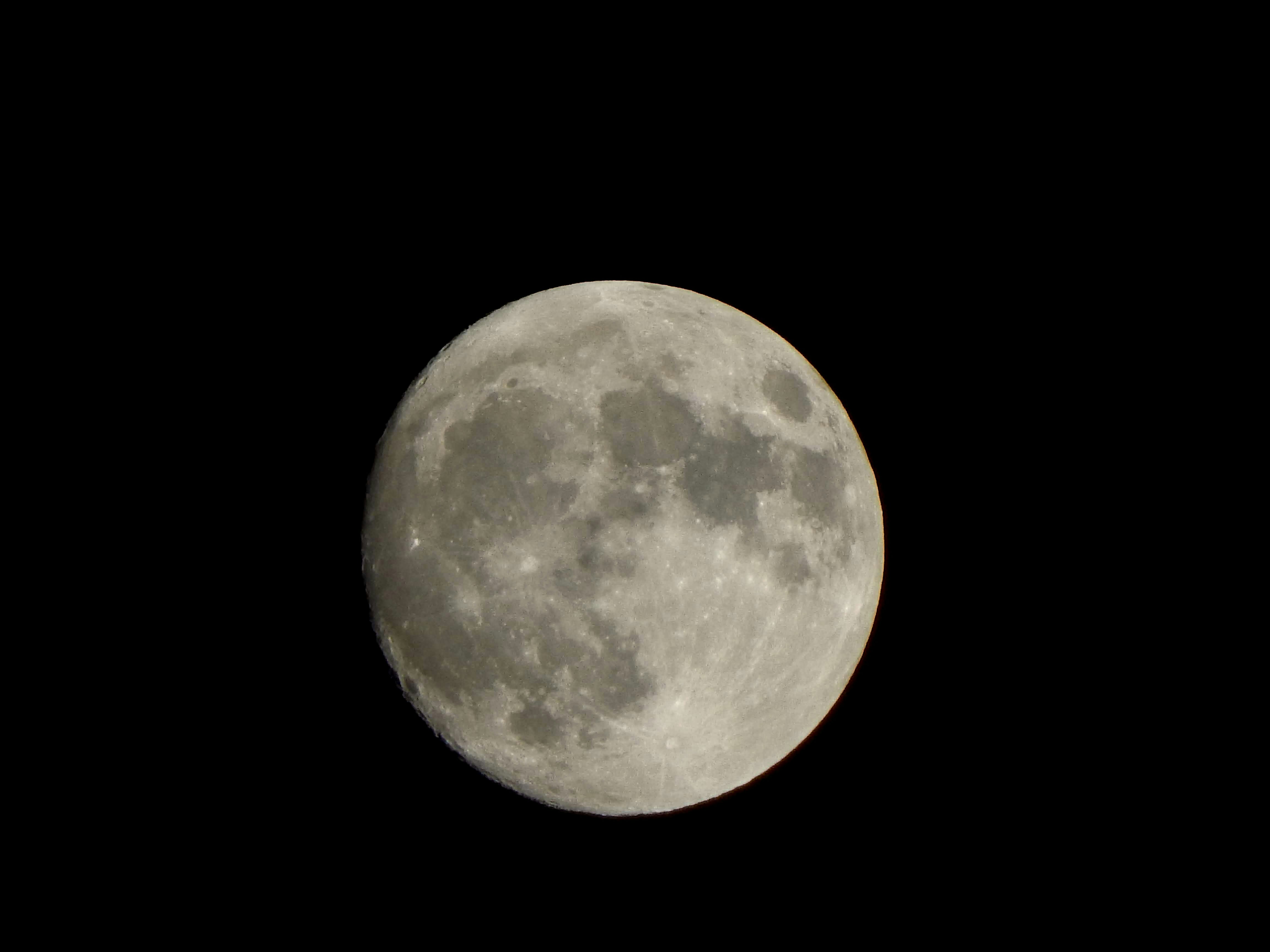 Photo by shadinnature