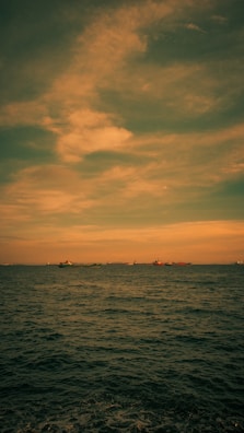 A panoramic view of multiple ships anchored near the coastline at dawn.
