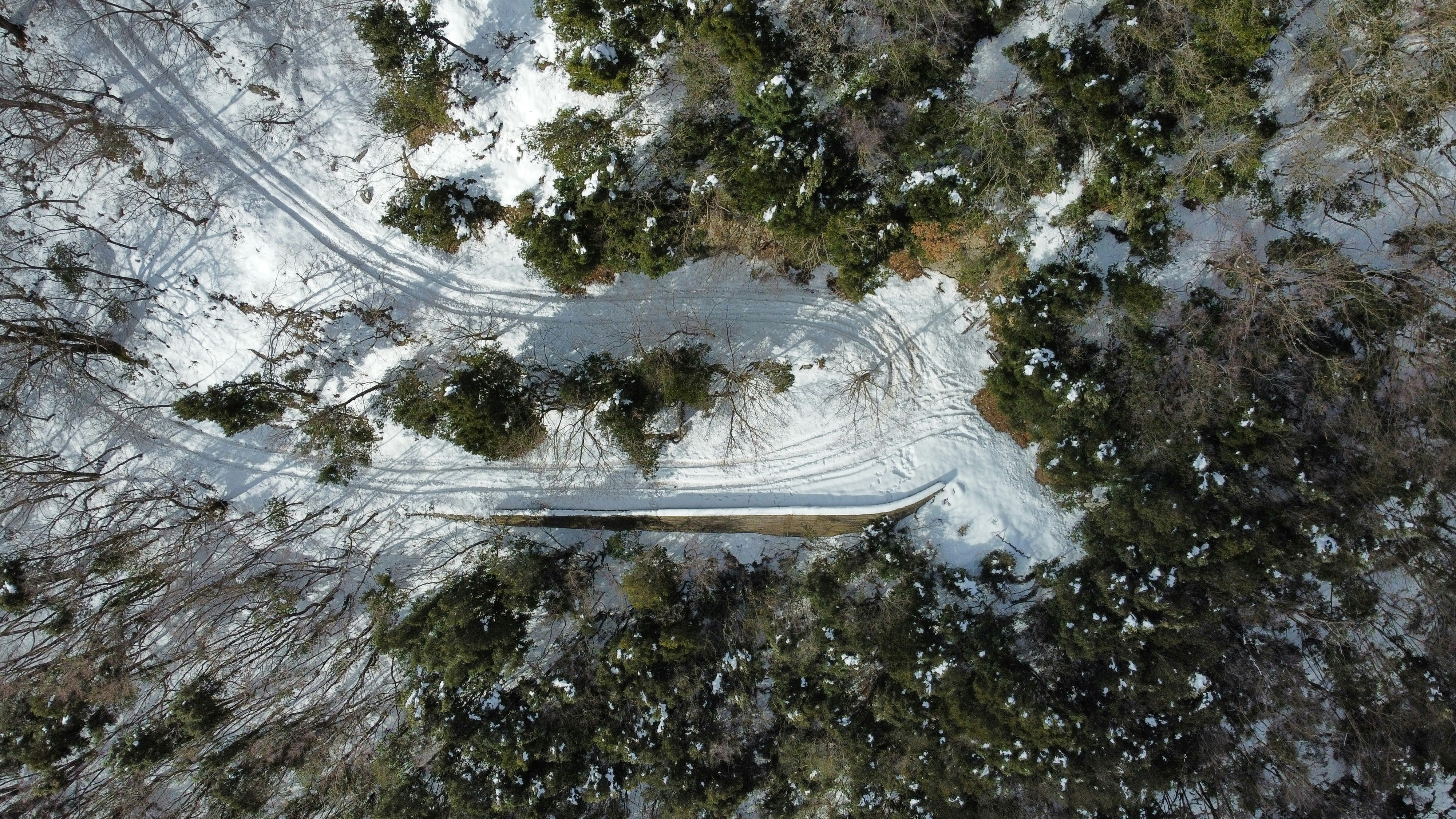 Artem Chigvintsev Avoids Domestic Violence Charges: Grateful That 'The Truth Has Prevailed'; Nikki Bella Files for Divorce