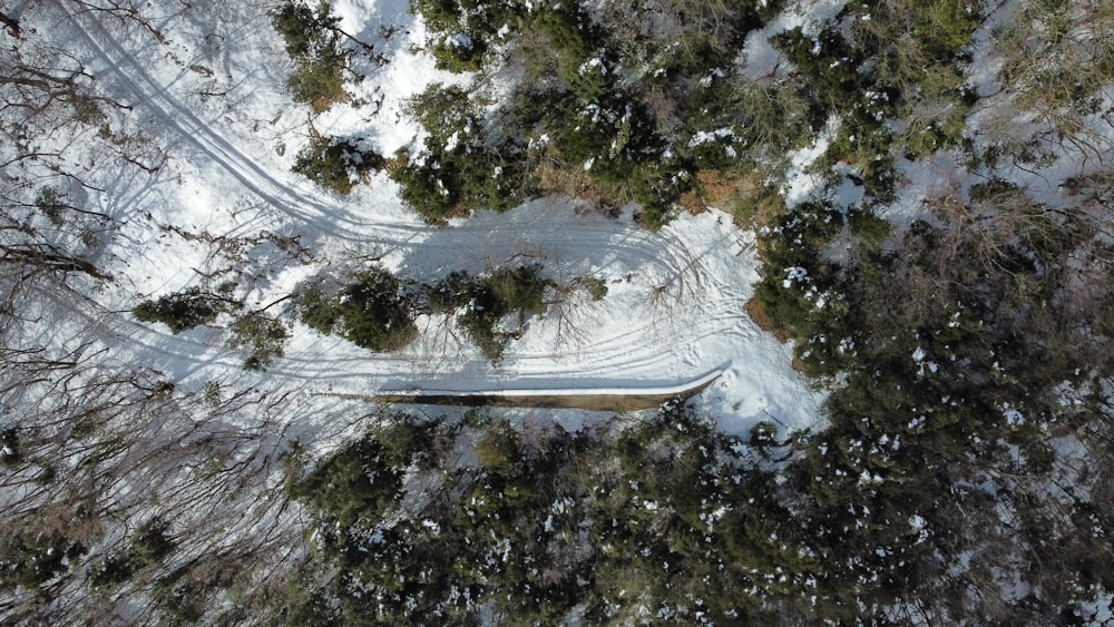 an aerial view of a snow covered forest