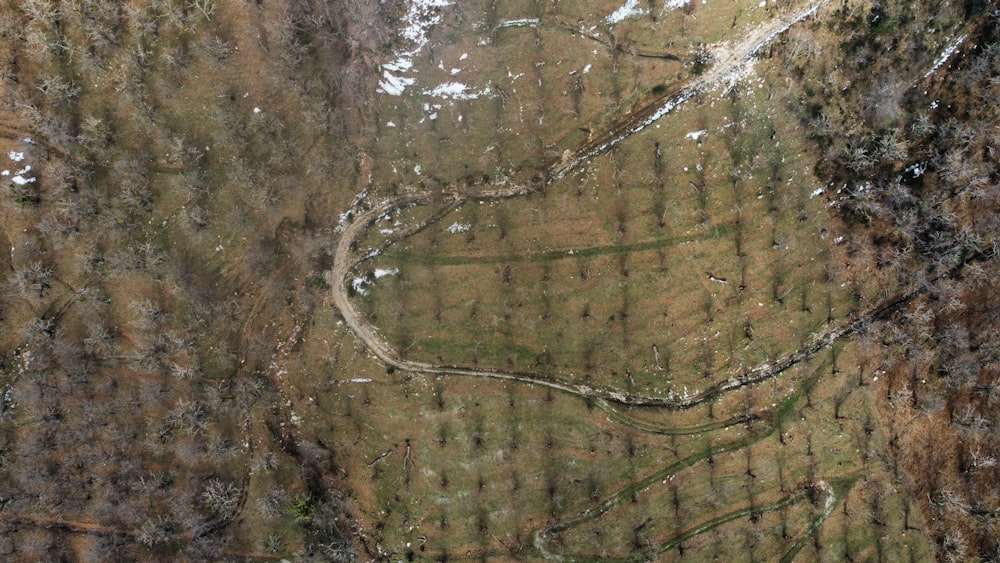 uma vista aérea de uma encosta coberta de árvores