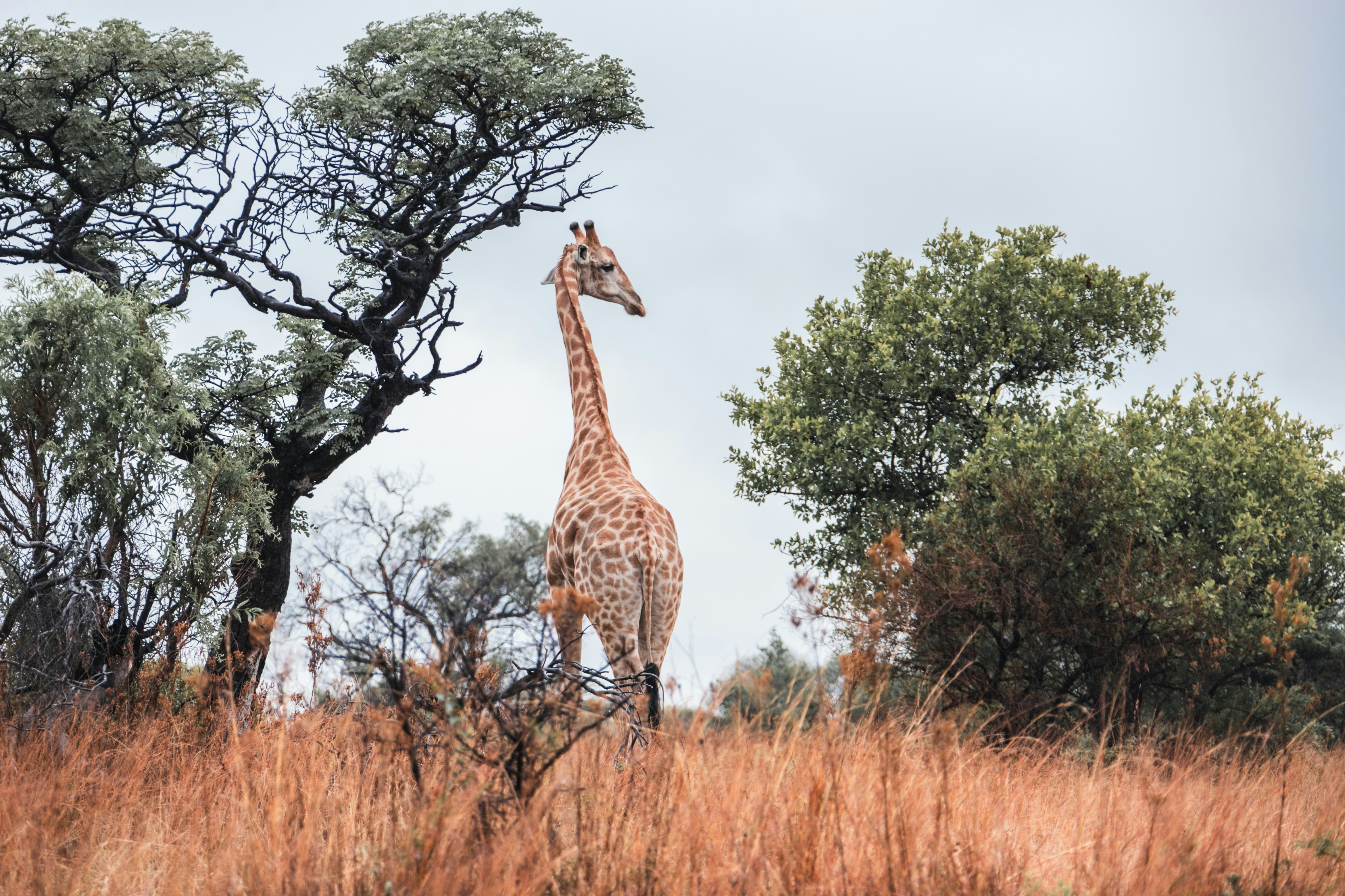 Photo by kainachtigal