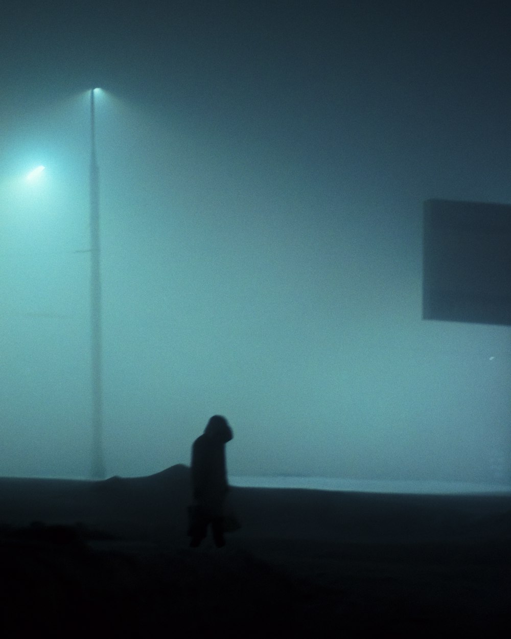 a person standing in the fog under a street light