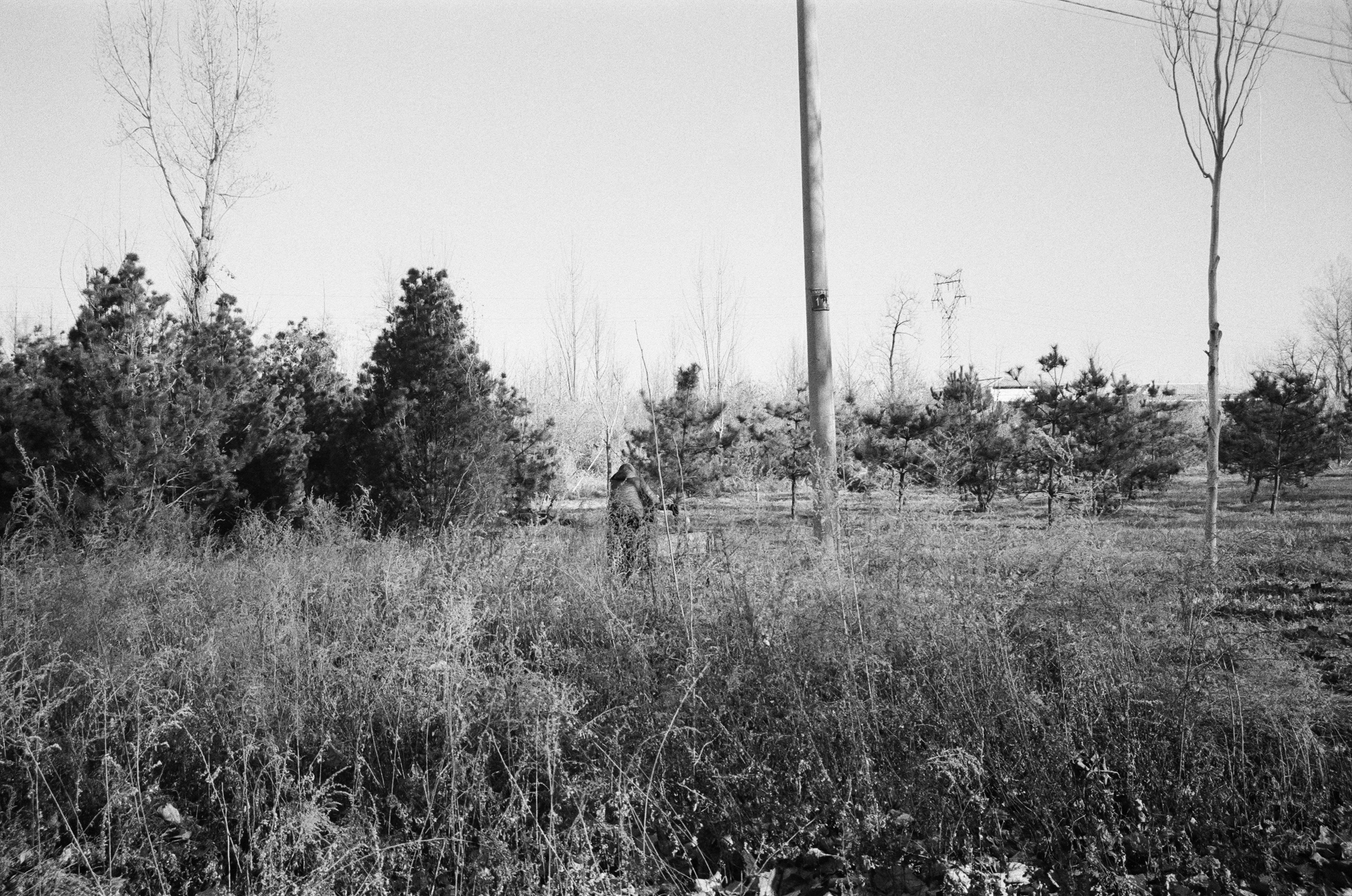 A candid photo of Margerie Willett with Dick Van Dyke in the 1950s