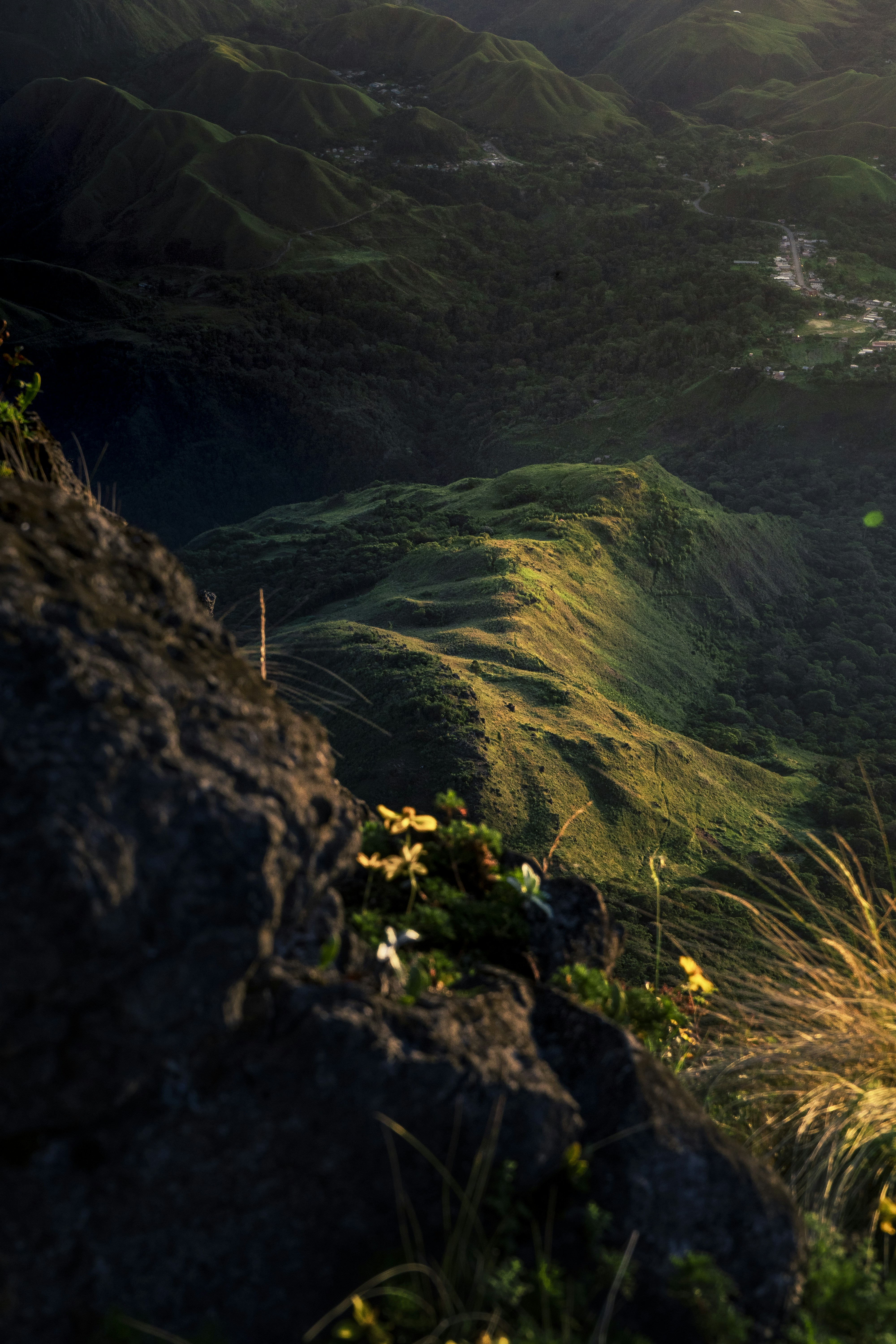 the sun shines on a grassy mountain side
