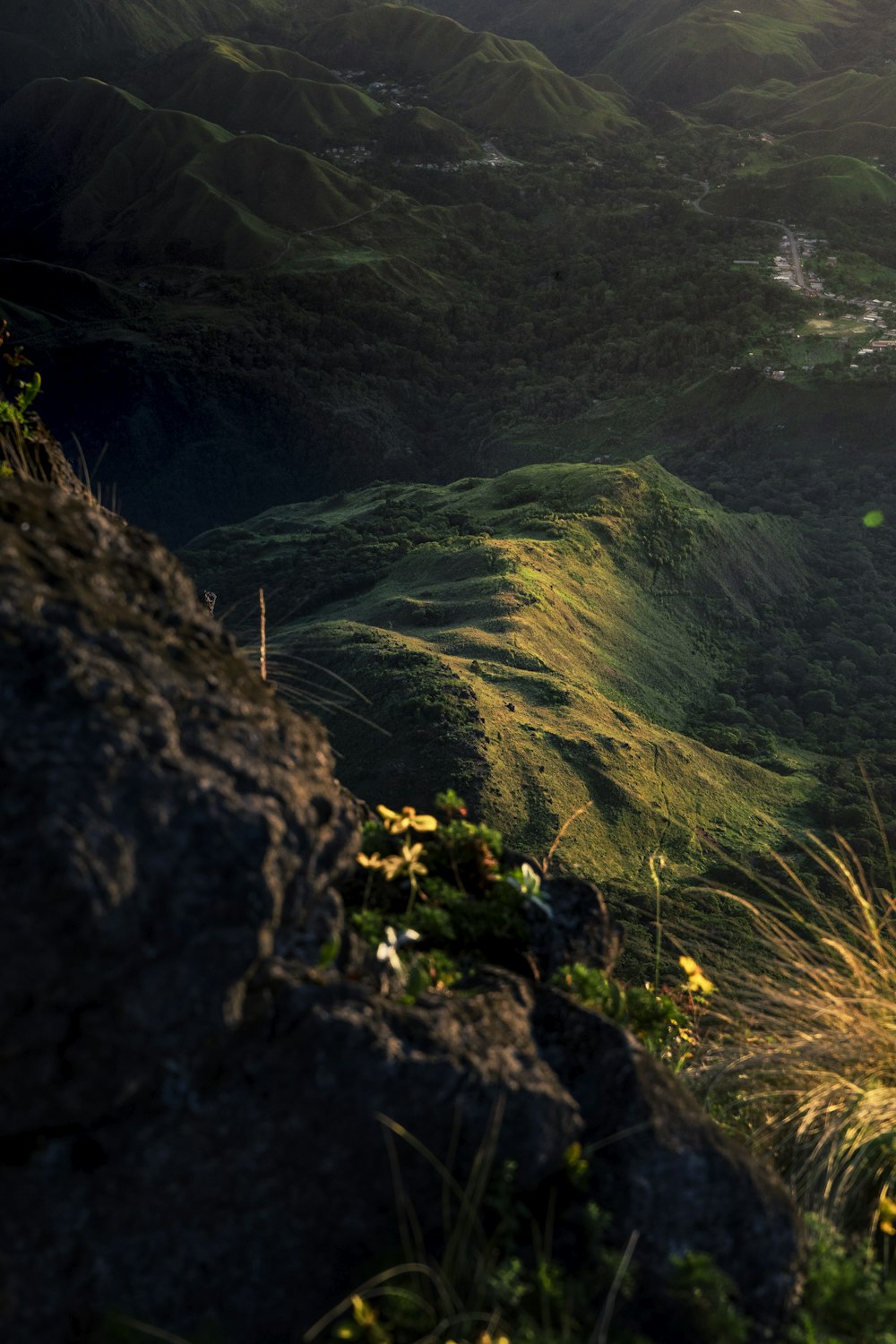 the sun shines on a grassy mountain side