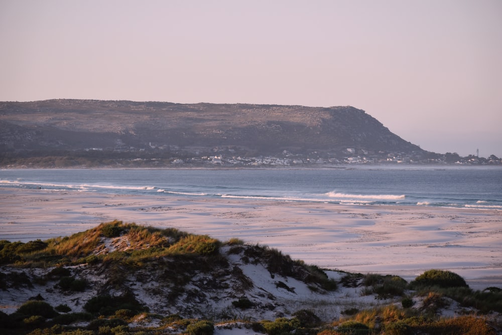 a beach with a hill in the background