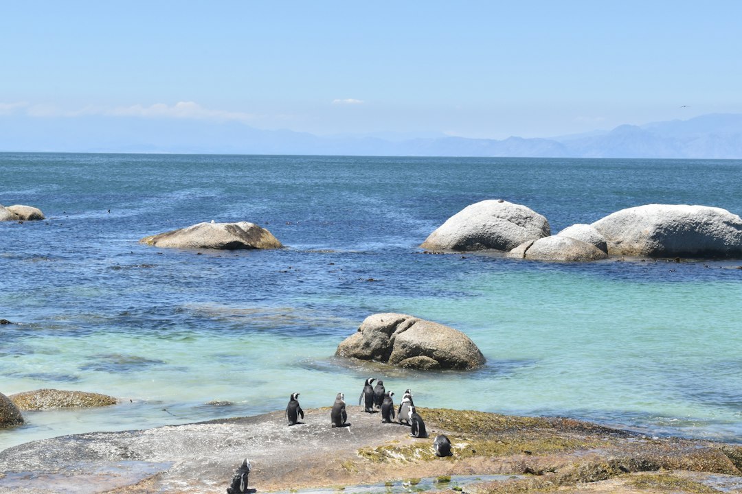 7 Underrated South African Gems Beyond Cape Town Worth Exploring… — 7 Underrated South African Gems Beyond