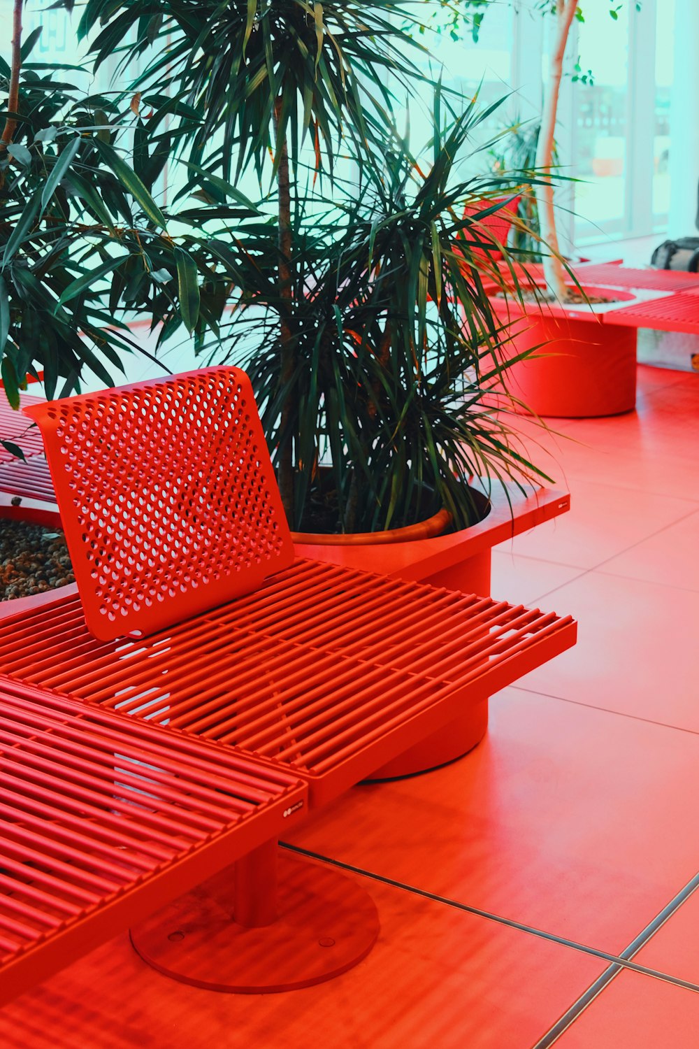 a red bench sitting in front of a plant