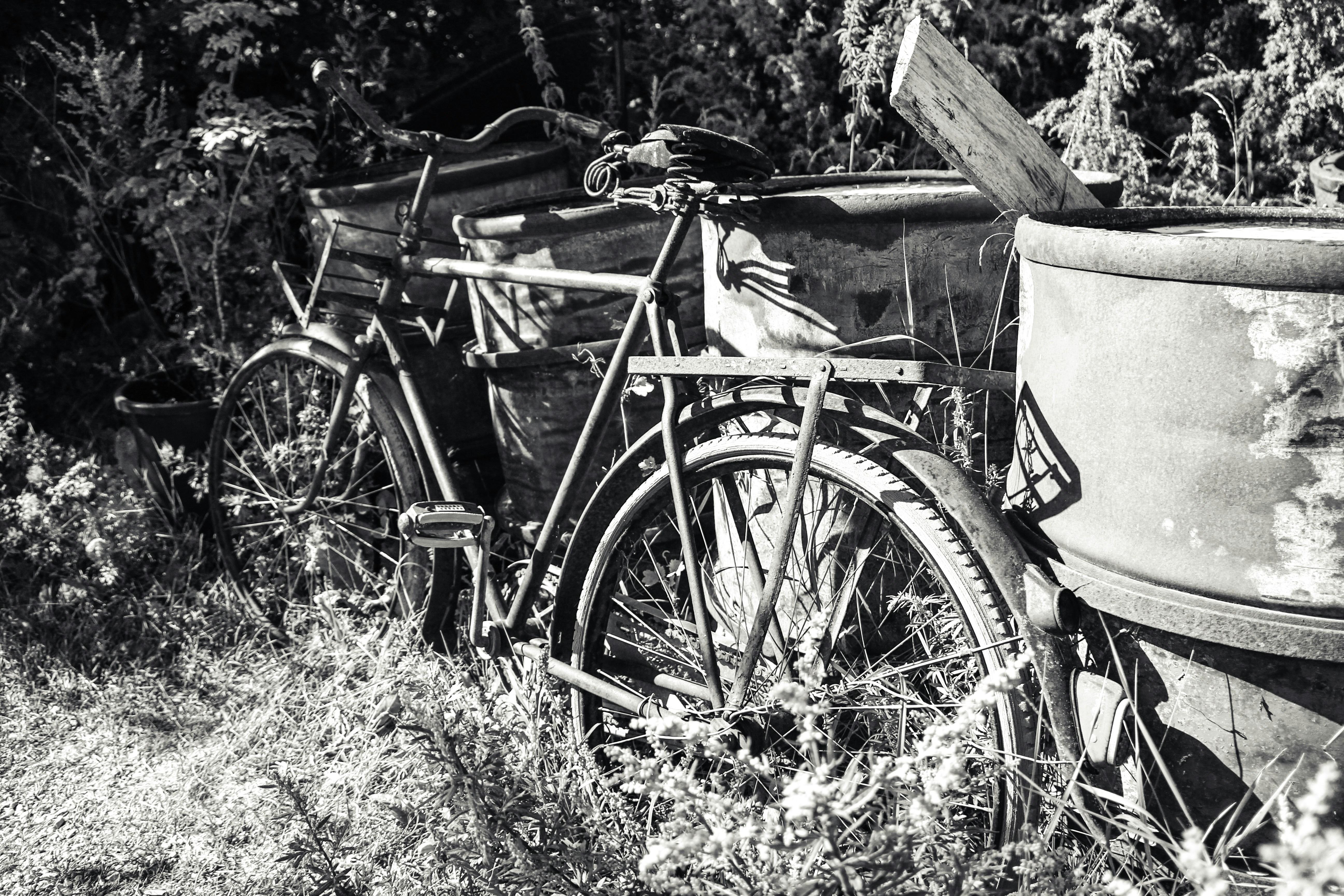 Photo by visionaryconcepts