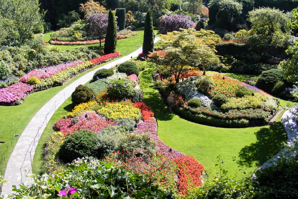 a garden with many different types of flowers