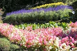 A beautiful garden with colorful flowers.