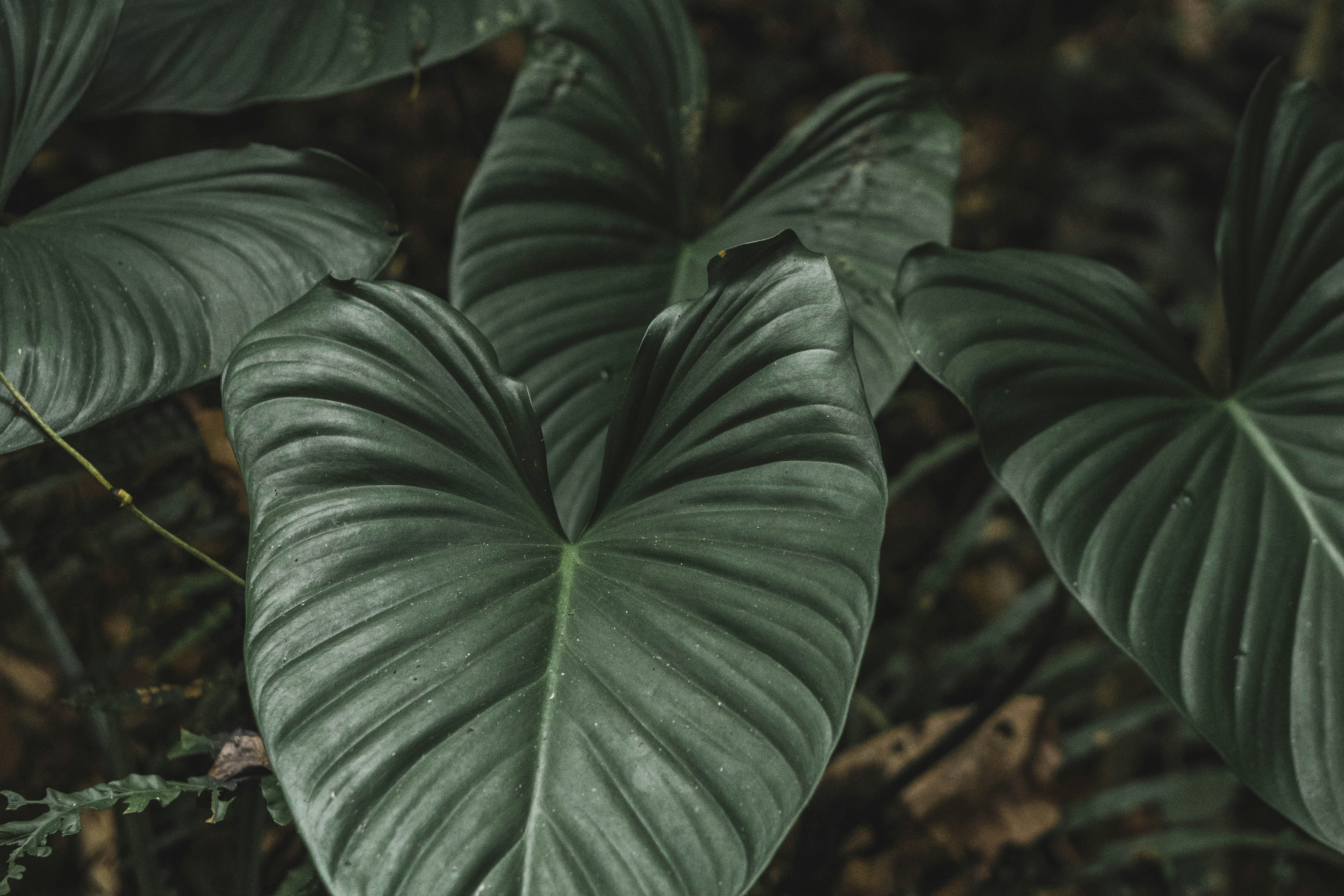 Photo by samowitaphoto