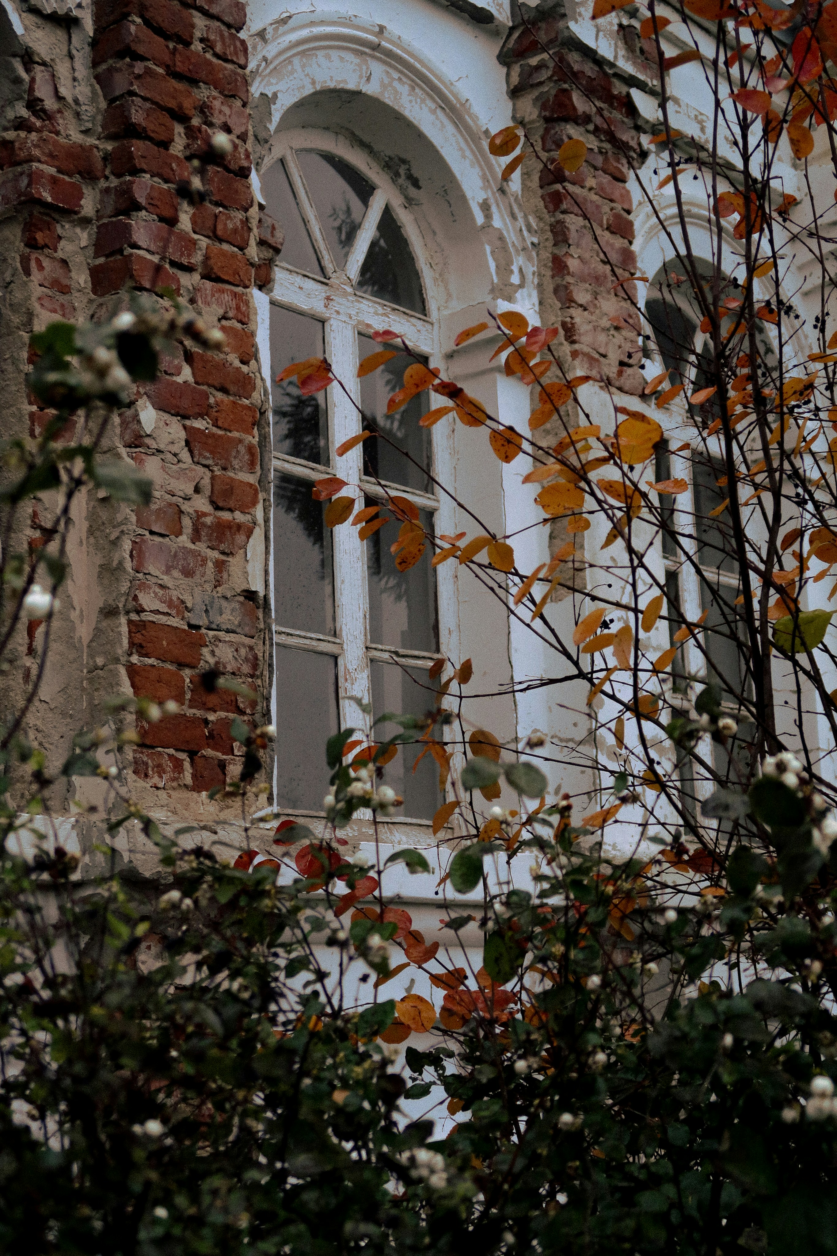 Photo by kashirenkova