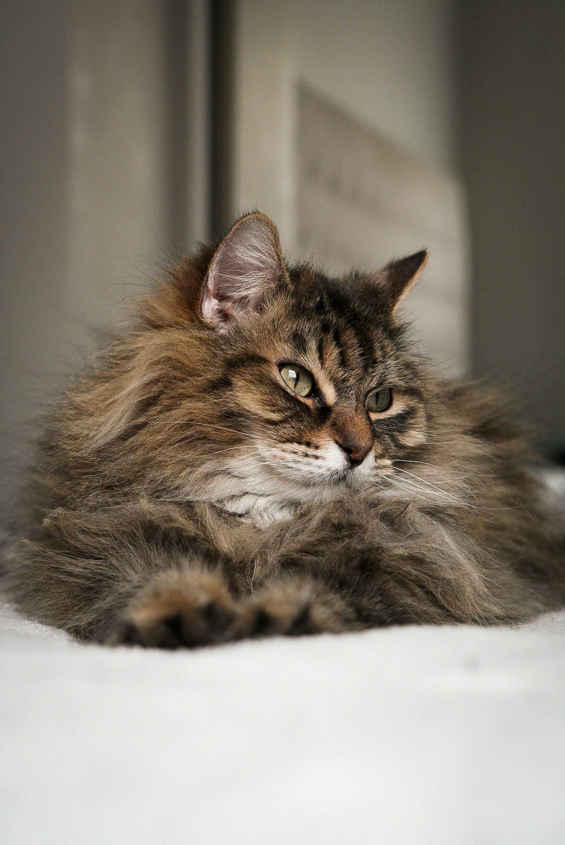 Photo by meri_vasilevski