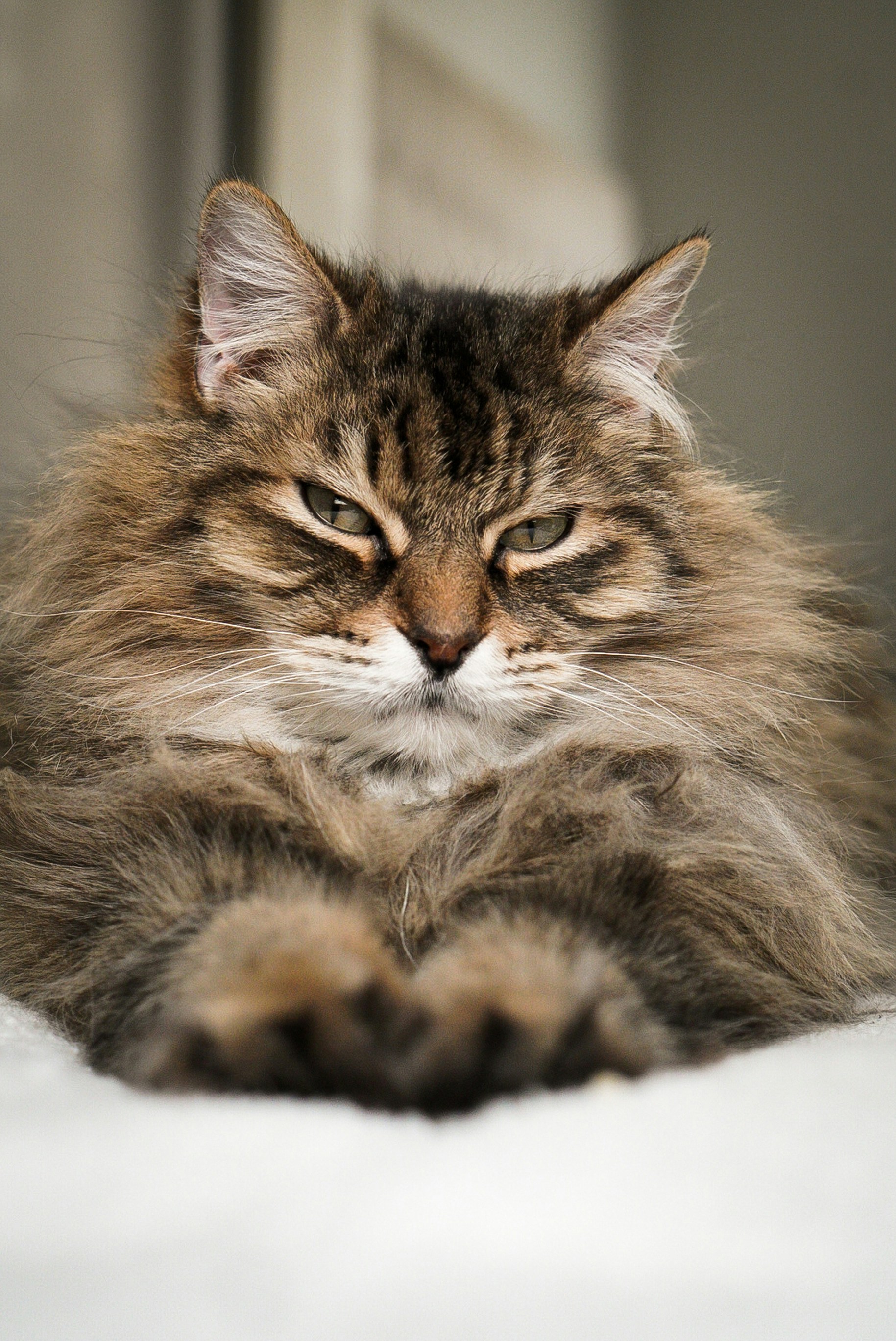 Photo by meri_vasilevski