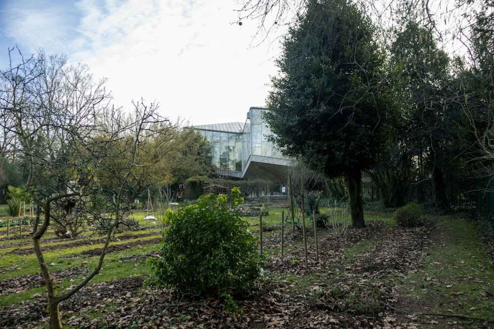 a house in the middle of a park with a lot of trees