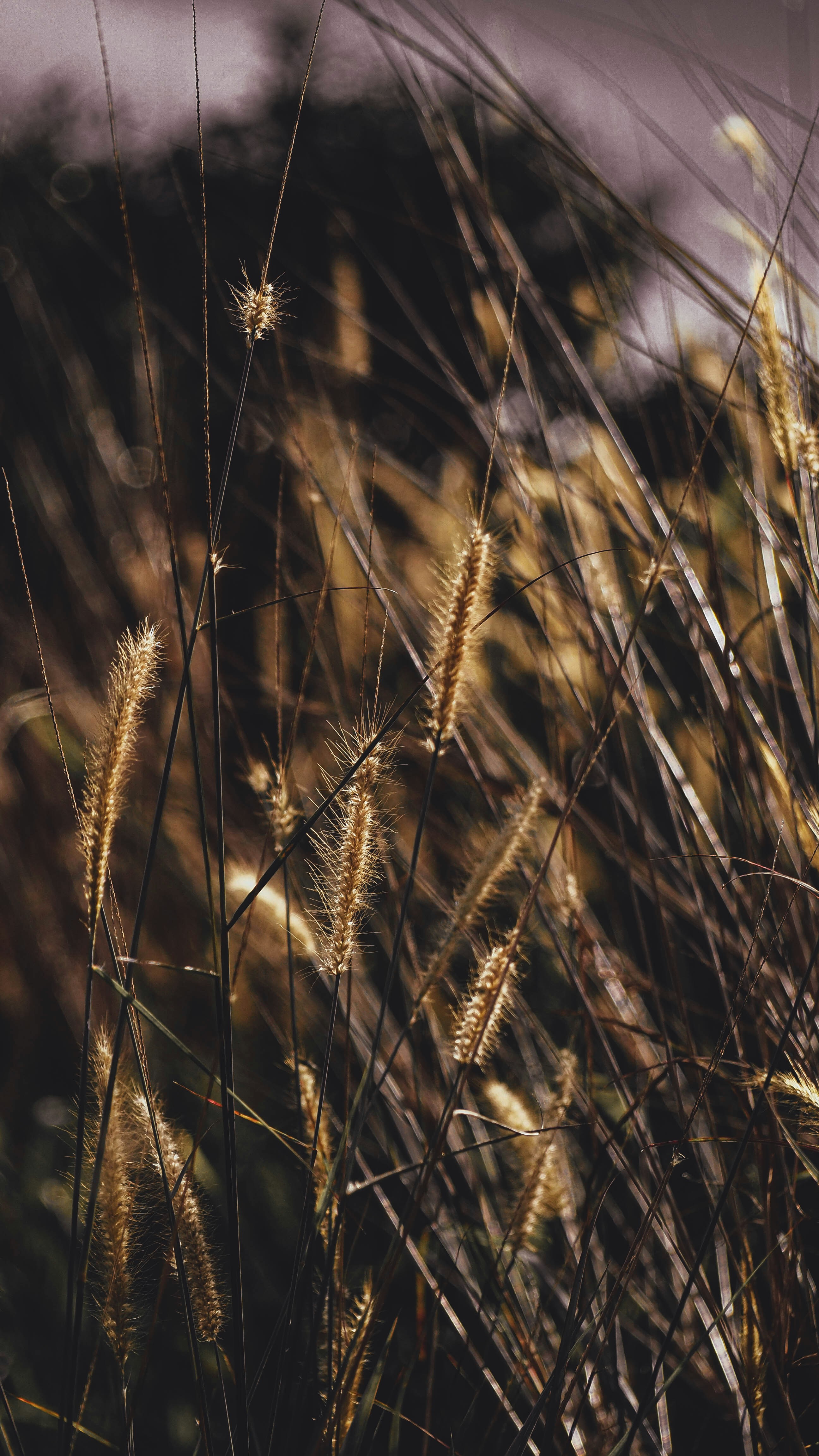 Photo by adam_mushii