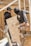 Two construction workers wearing hoodies and tool belts are actively engaged in work at a construction site. One worker is holding a large plywood board, while the other appears to be securing or inspecting structural framing. The background shows unfinished wooden frames, indicating ongoing construction.