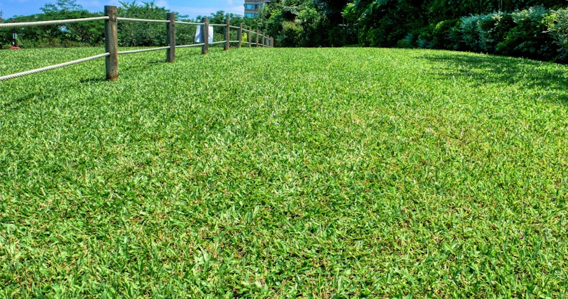 A well-maintained fence running along a lush green lawn in summer.