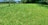 A lush, well-maintained green lawn stretches out with a wooden fence along one side. Trees and bushes border the grass, and the sky is visible in the background. A towel hangs on the fence, adding a hint of human presence.