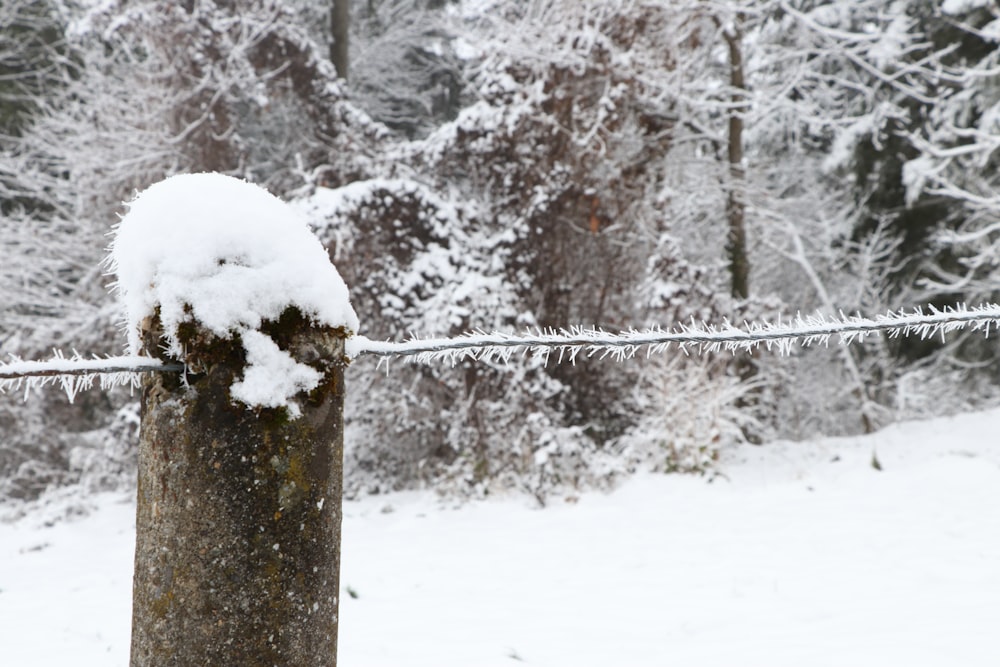 a fence post covered in snow next to a forest