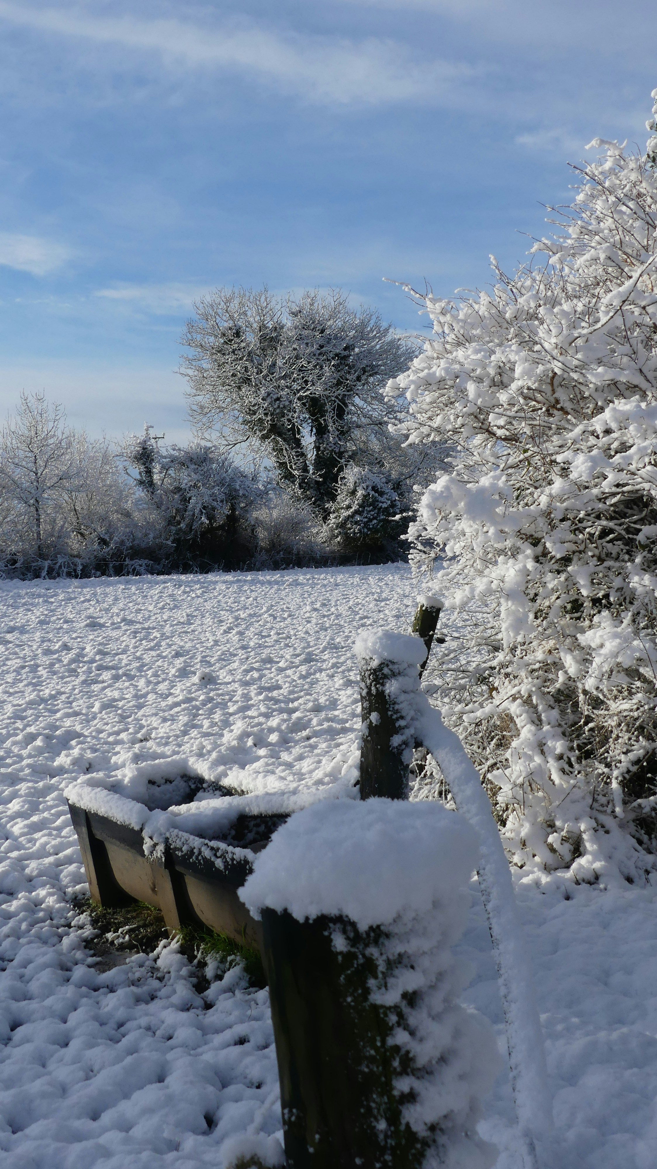 Photo by hullabaloo22