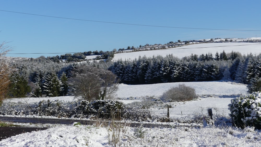 a snow covered field with trees in the background