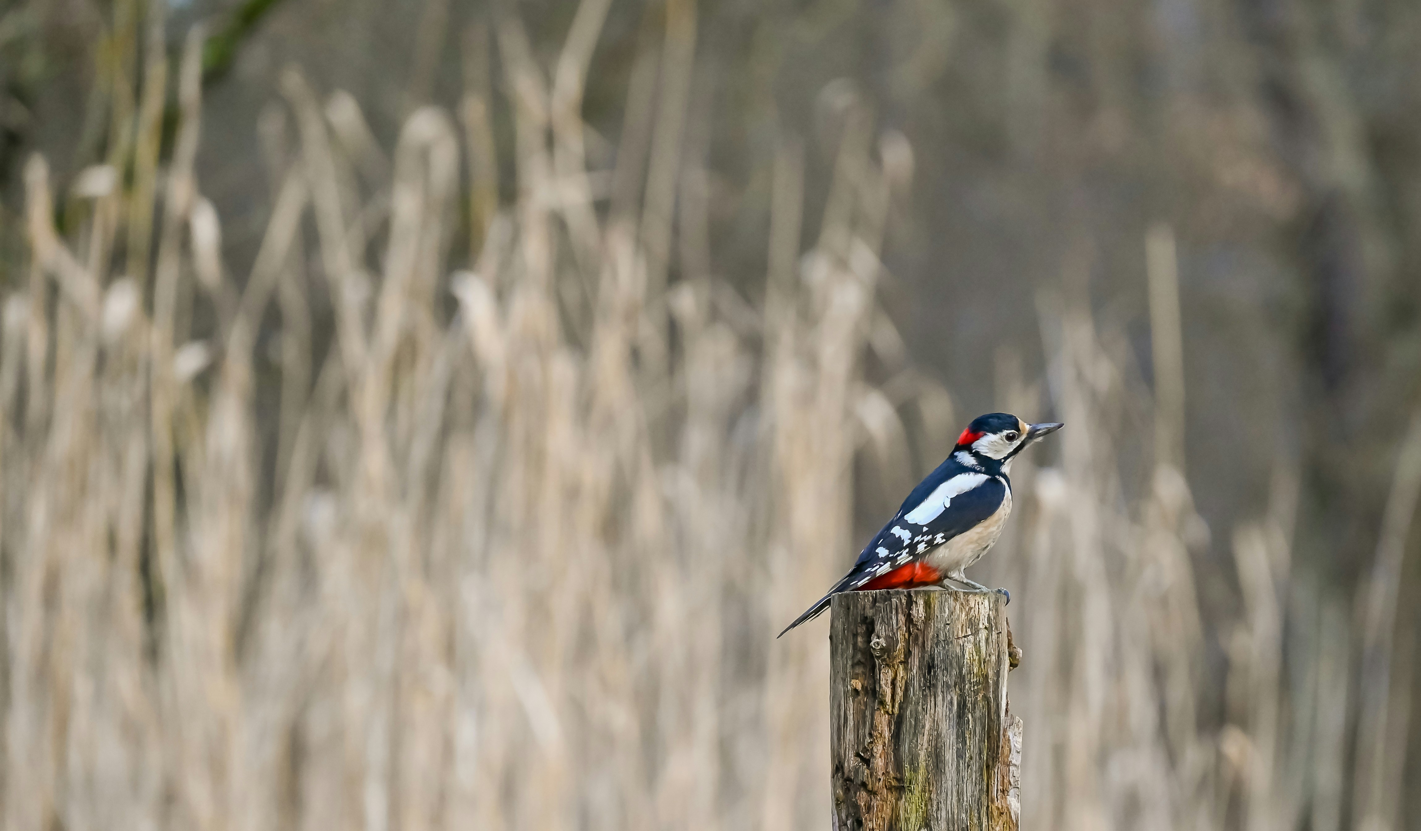 Photo by jetztabertempo