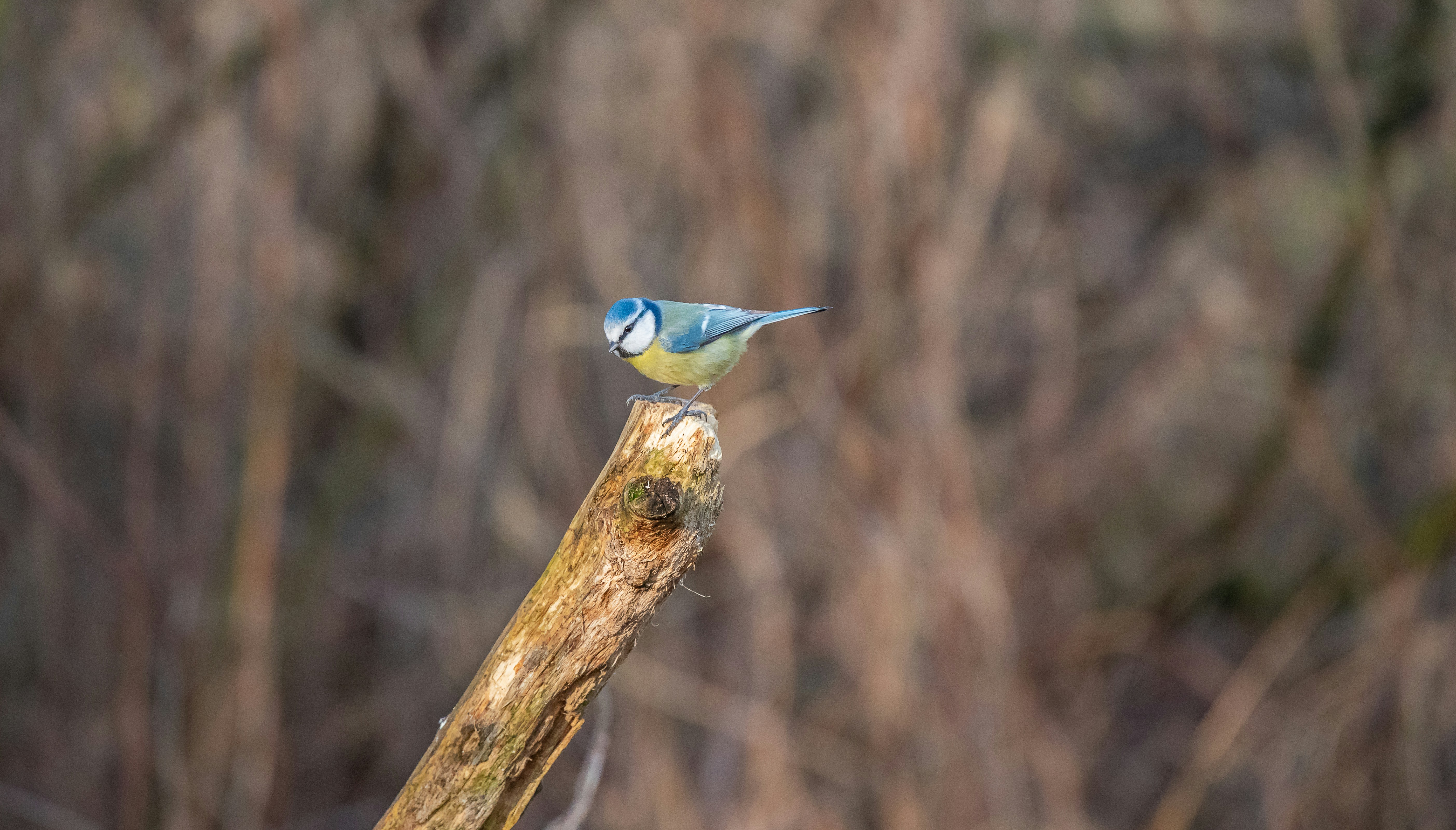 Photo by jetztabertempo