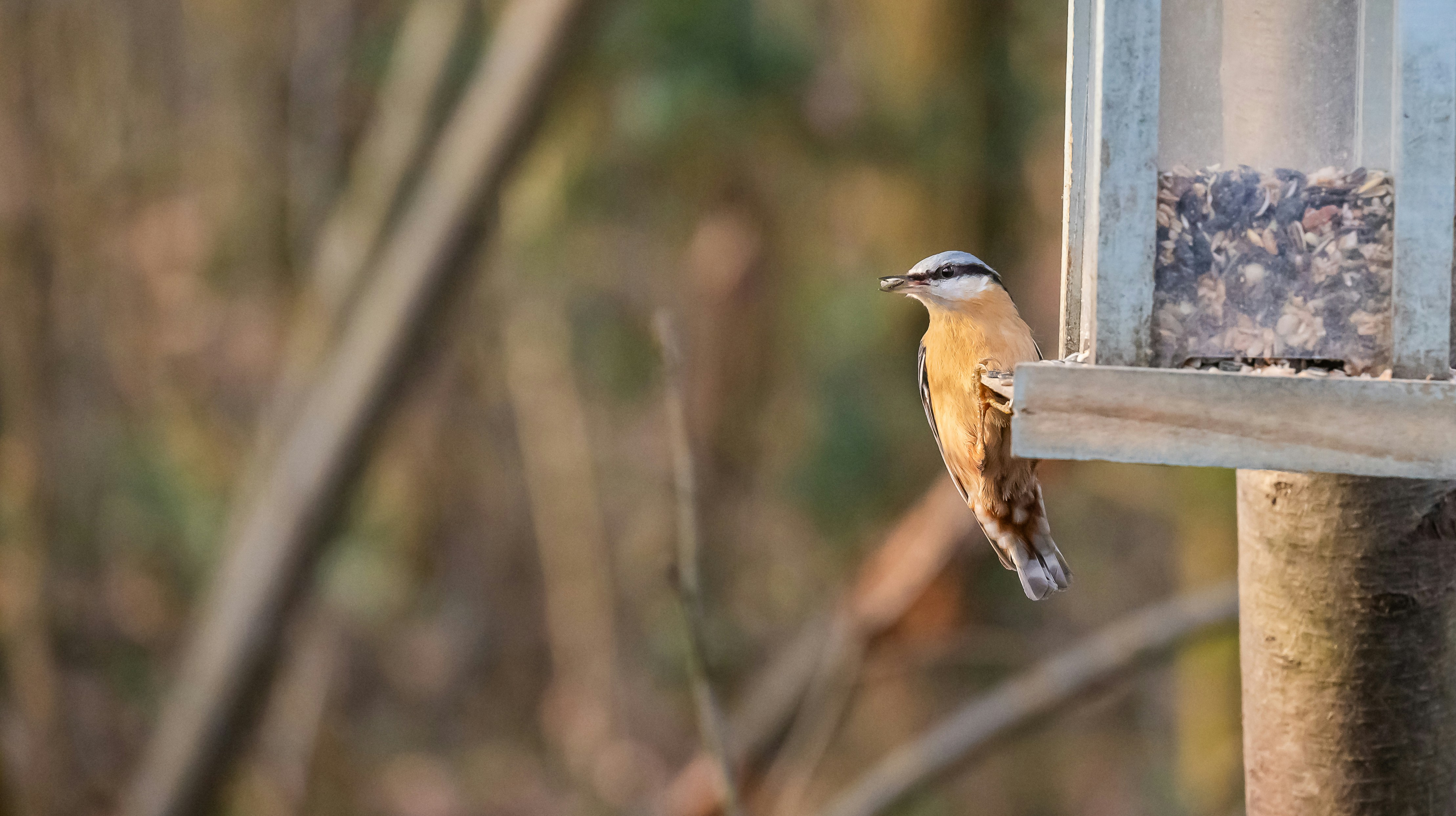 Photo by jetztabertempo