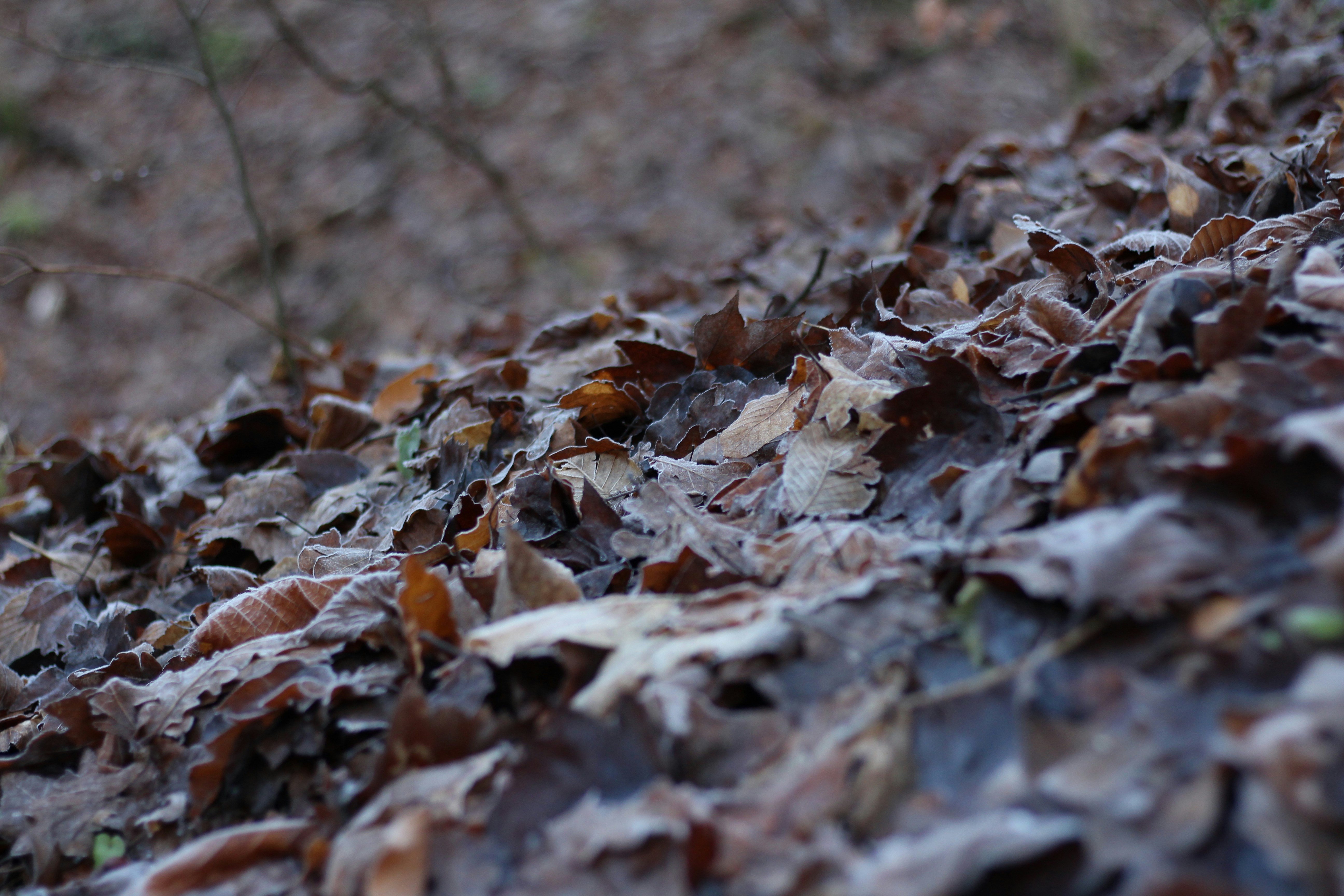 Photo by alexmartisca