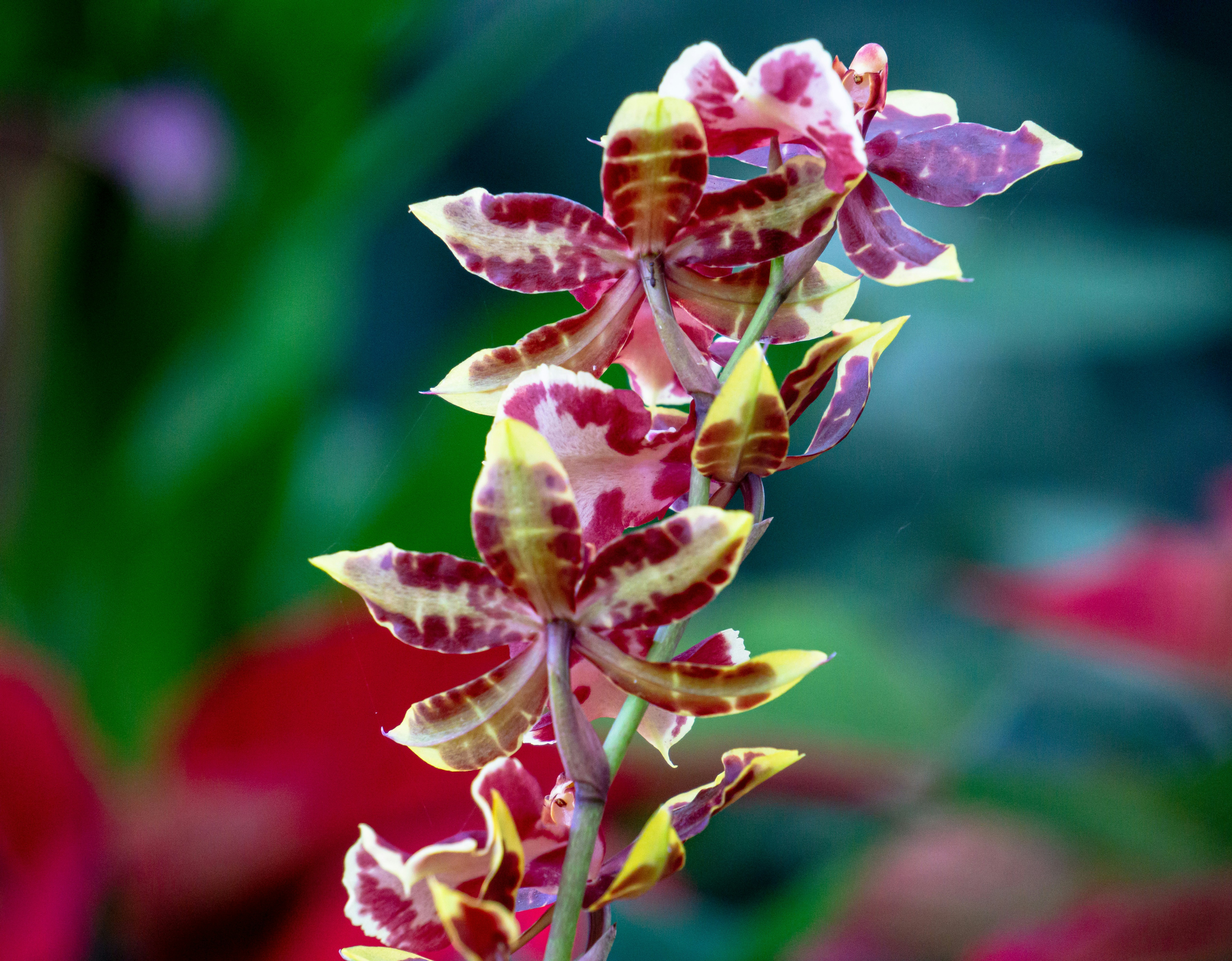 Photo by aravindreddytarugu