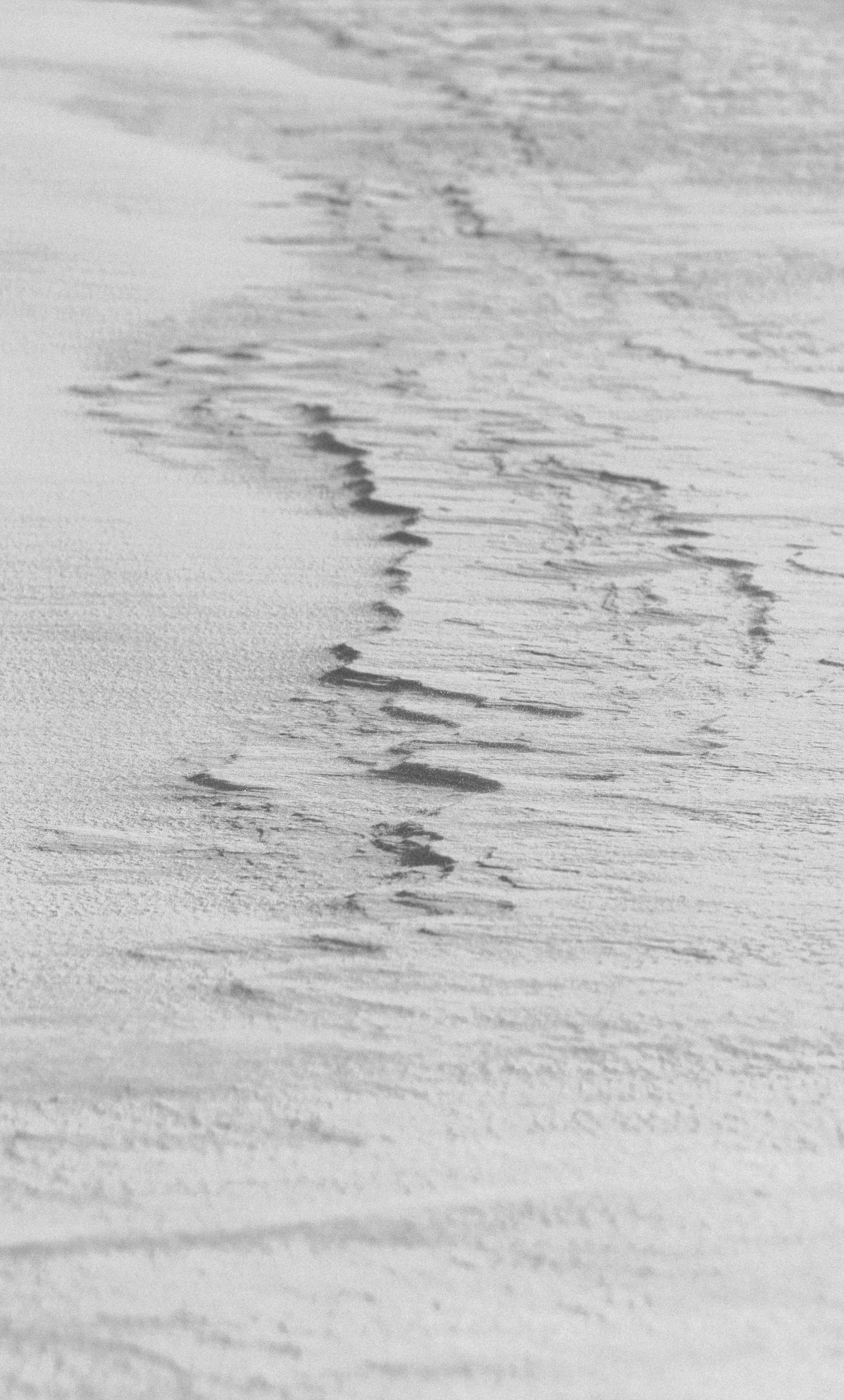 Photo by manuelmaslonka