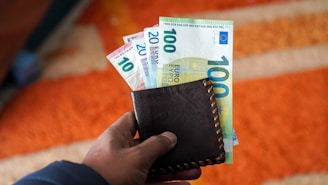 a person holding a wallet full of money