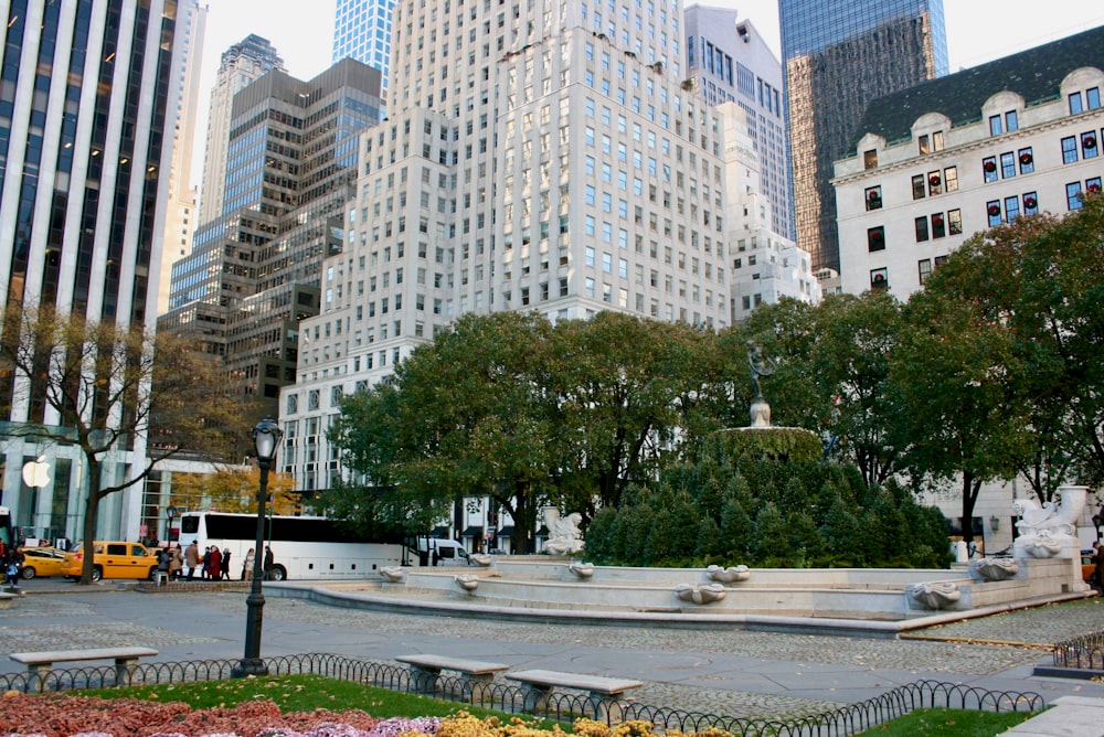 a city square with a fountain surrounded by tall buildings