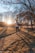 A vibrant person jogging in a sunlit park, showcasing vitality and health.